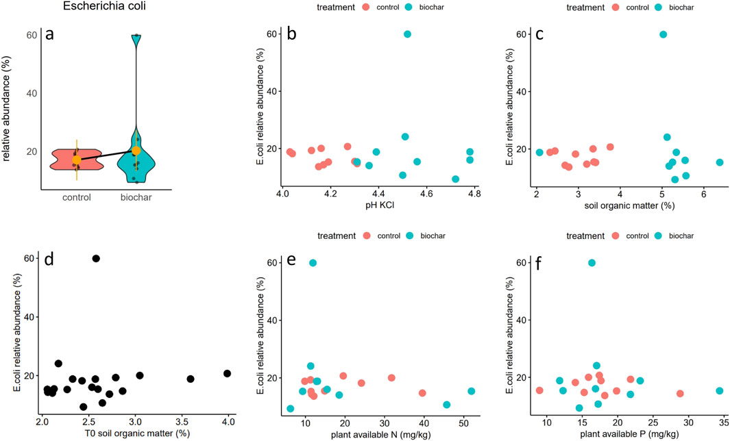 Graphs analyzing the relative abundance of *Escherichia coli* depict various conditions: a violin plot shows control versus biochar treatment; scatter plots illustrate relationships with pH (b), soil organic matter (c and d), and plant nutrients nitrogen (e) and phosphorus (f). Data points are color-coded by treatment type.