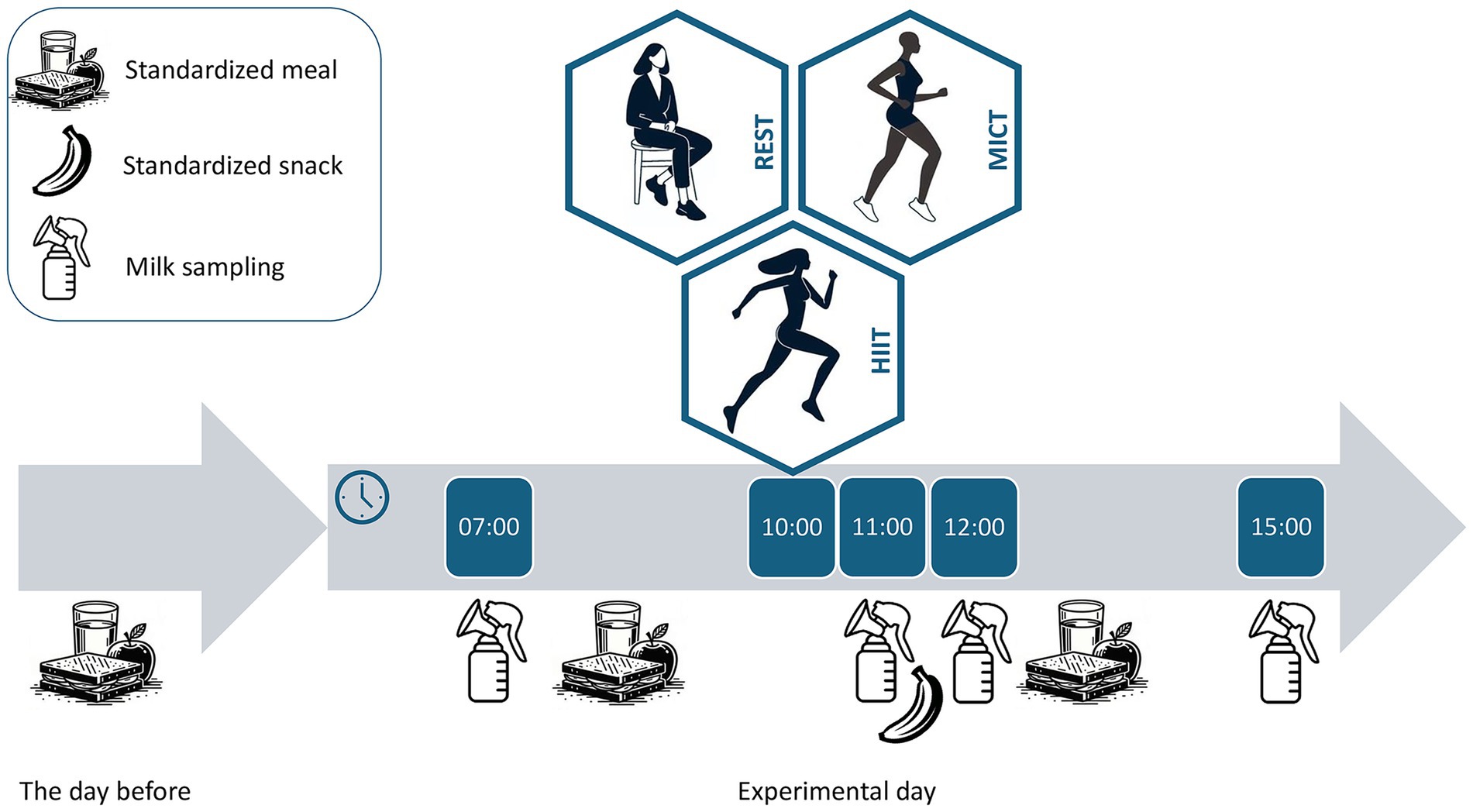 Timeline illustrating an experimental day including either rest, moderate-intensity continuous training (MICT), or high-intensity interval training (HIIT) between 10:00 and 11:00. It shows standardized meals, snacks, and milk sampling at various times: 7:00, 11:00, 12:00, and 15:00.