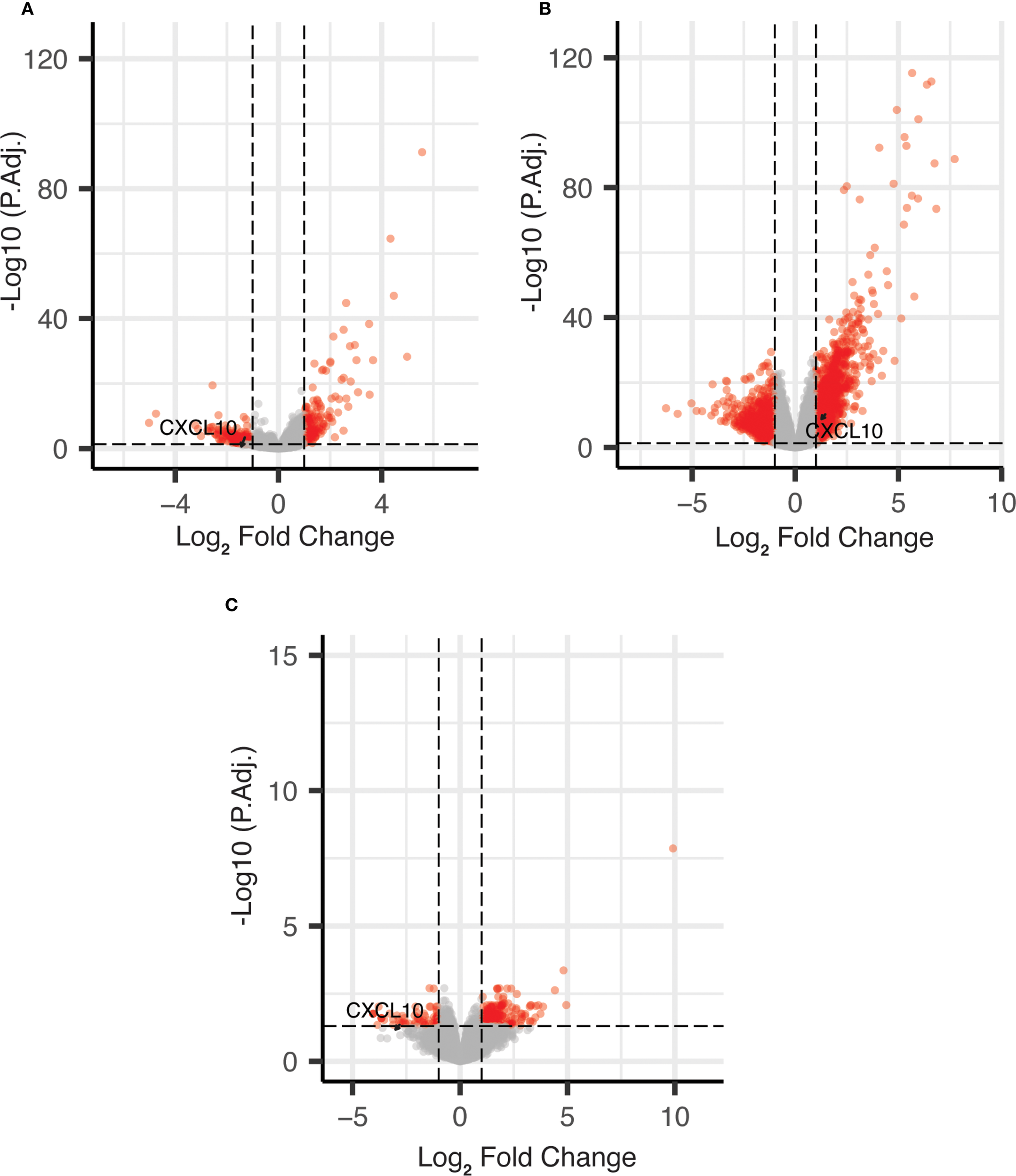 Three scatter plots (A, B, C) show data on volcanic plots with logarithmic fold changes on the x-axis and negative logarithm of adjusted p-values on the y-axis. The gene CXCL10 is labeled and highlighted with red points indicating significant changes. Each plot's axis varies slightly in scale to present different data sets.