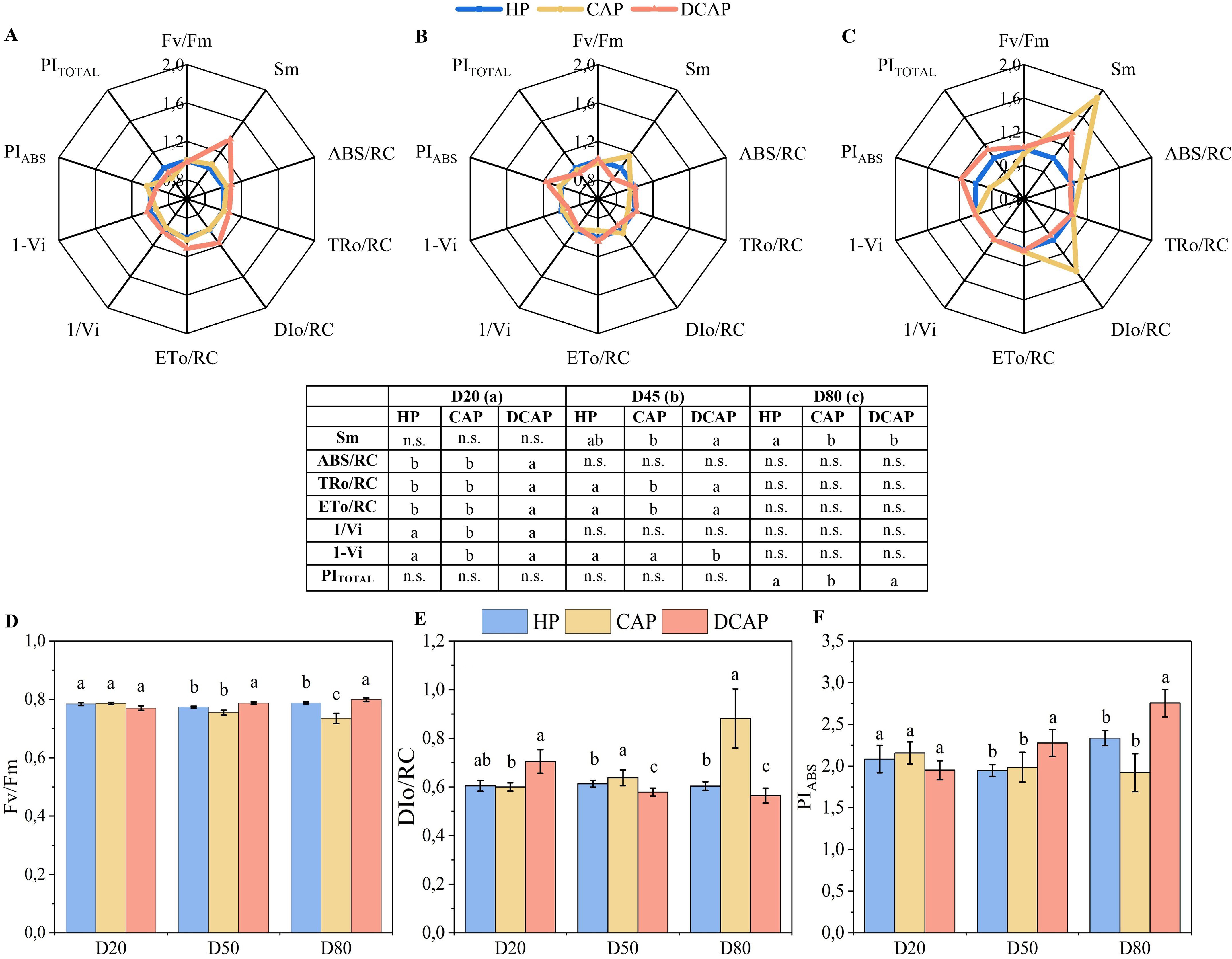 The image contains three radar charts and three bar charts comparing chlorophyll fluorescence parameters across three treatments: HP, CAP, andDCAP, at different days (D20, D50, D80). Radar charts (A-C) illustrate various photosynthetic performance indices, showing differences in patterns for each treatment. The bar charts (D-F) display Fv/Fm, DI0/RC, and PI_ABS values, respectively, with annotations indicating significant differences. A table provides statistical comparisons for several parameters across these days and treatments.