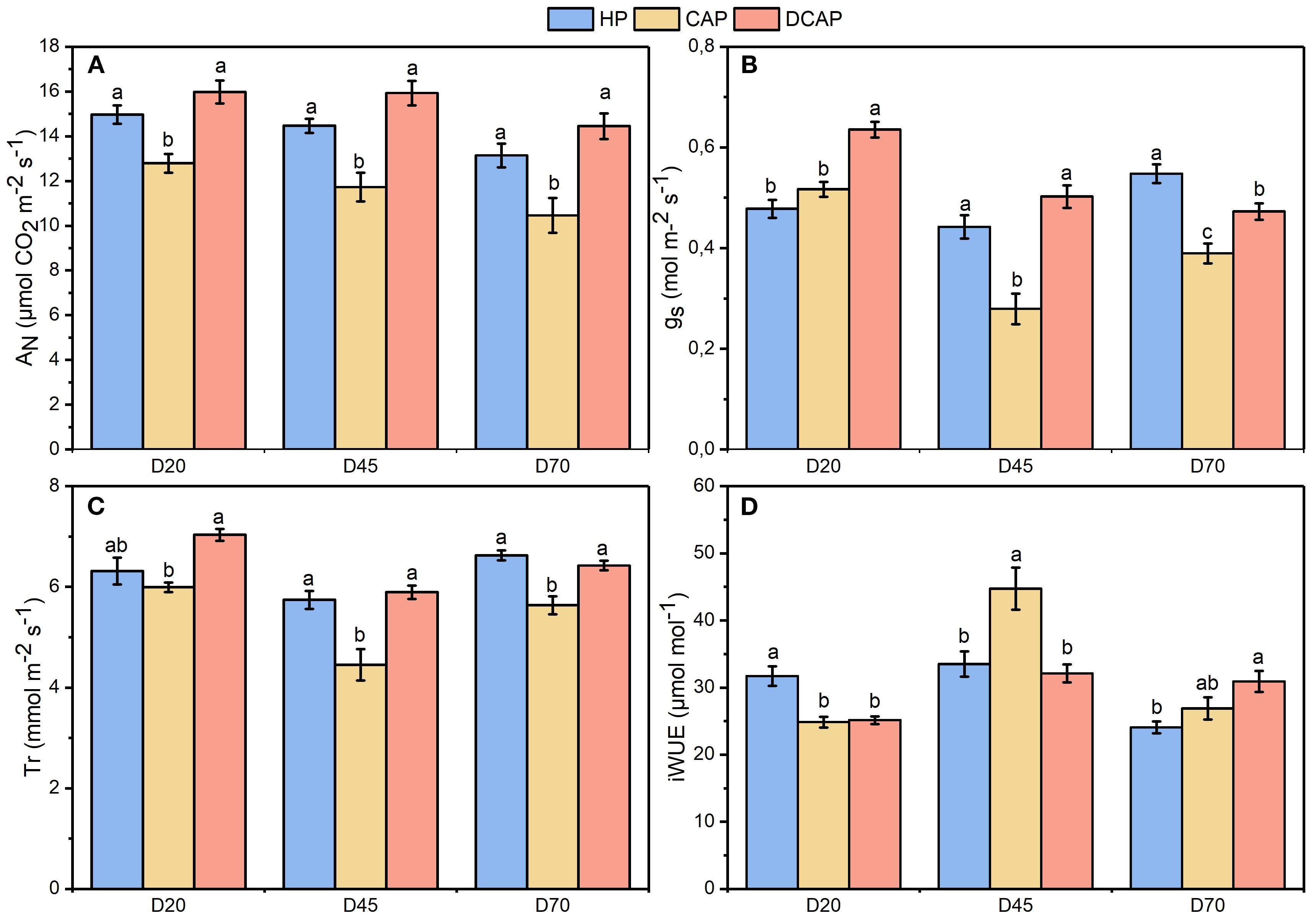 Bar charts labeled A to D comparing three treatments: HP (blue), CAP (yellow), and DCAP (red) across different days (D20, D45, D70). Chart A shows AN measurements, B shows gs, C shows Tr, and D shows iWUE. Each bar includes error bars and annotations with letters indicating statistical significance.