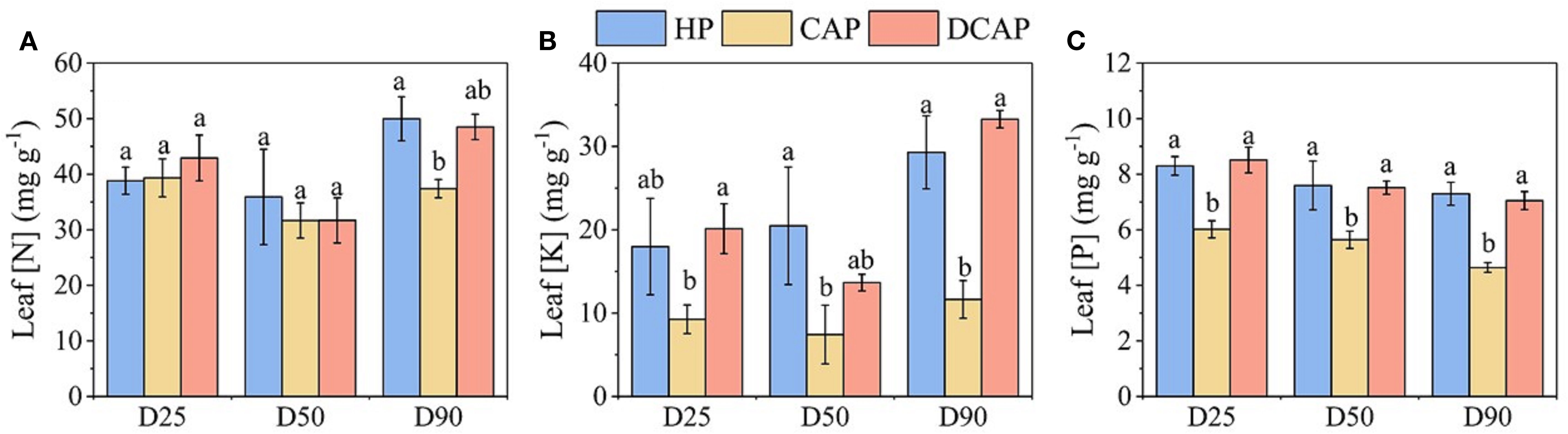 Bar charts labeled A, B, and C show leaf nutrient concentrations of nitrogen, potassium, and phosphorus, respectively, across treatments: HP (blue), CAP (yellow), and DCAP (red) at intervals D25, D50, and D90. Bars have different letter labels indicating statistical differences. Nitrogen levels remain similar across treatments, potassium is highest in DCAP at D90, while phosphorus varies less, with lower values in CAP.