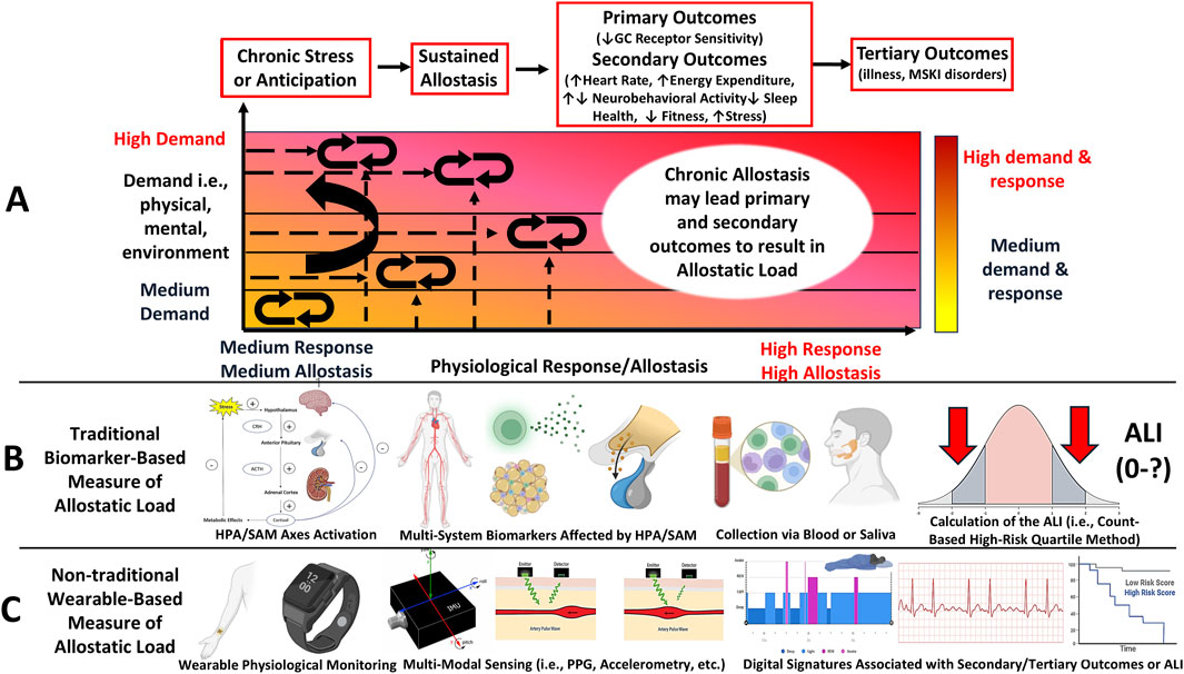 Graphical abstract illustrating the concept of chronic stress leading to sustained allostasis and resulting outcomes. In panel A, a gradient from medium to high demand and response is depicted, illustrating how chronic allostasis can lead to allostatic load. Panel B shows traditional biomarker-based measurement techniques of allostatic load through physiological markers and HPA/SAM axes activation. Panel C presents non-traditional wearable-based measures using physiological monitoring and digital signatures to gauge allostatic load index (ALI) associated with secondary and tertiary outcomes.