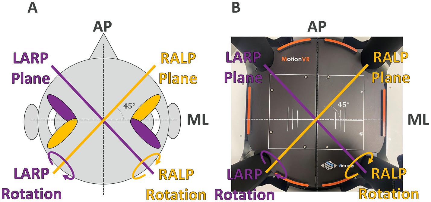 Diagram comparing RALP and LARP planes and ML and AP planes. Panel A shows a head with marked RALP and LARP planes at 45-degree angles, labeled for translational and rotational views. Panel B shows a device with similar markings, labeled for motion analysis. Both panels are labeled with AP (anterior-posterior) and ML (medial-lateral) axes.