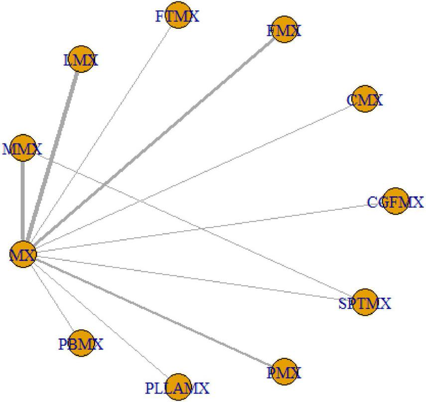 A network diagram featuring a central node labeled “MX” connected to multiple orange nodes labeled: “IMX,” “IMMX,” “FTMX,” “CIMX,” “PLAMX,” “PBMX,” “PMX,” “SPTMX,” and “CGFMX.” Each node is linked by gray lines.