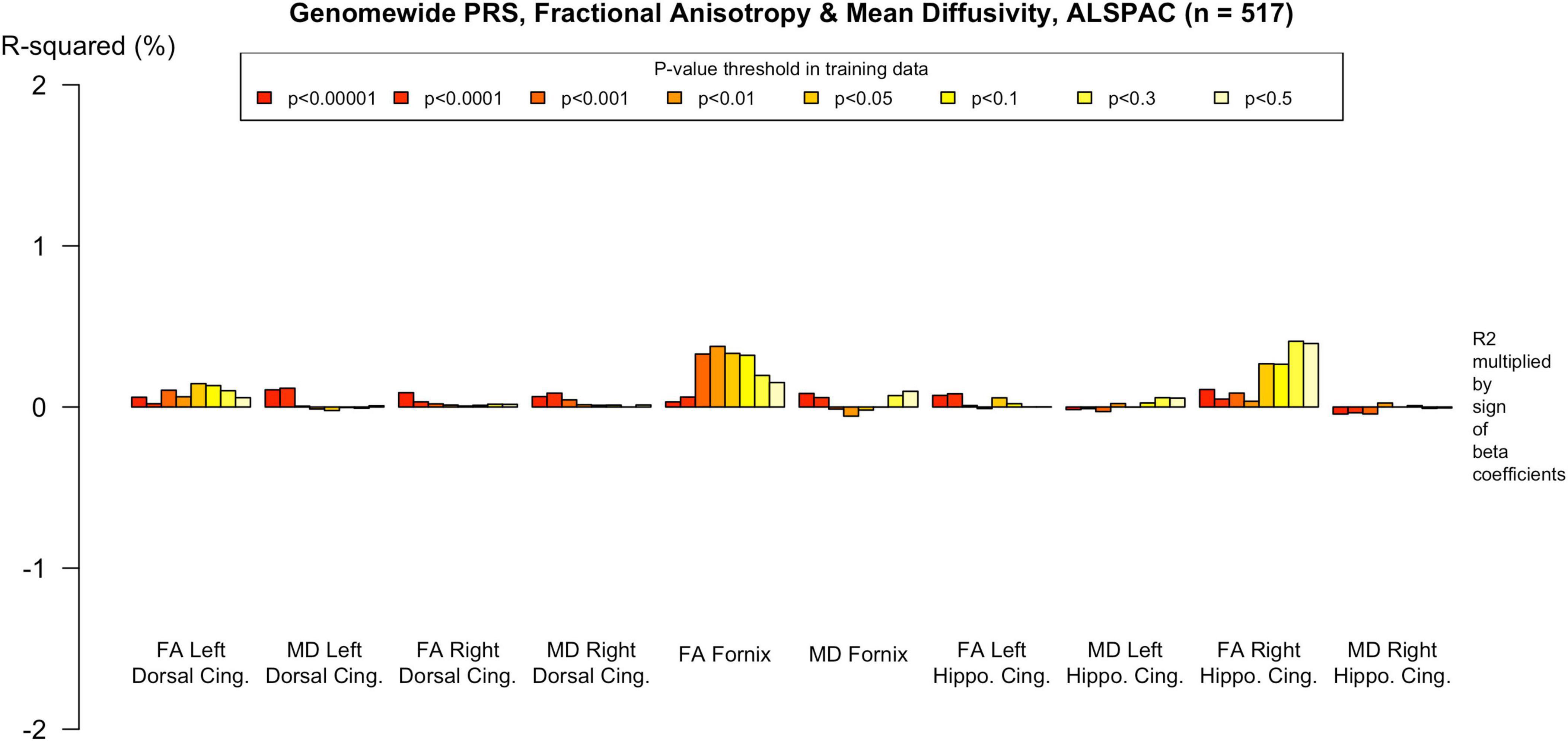 Bar graph showing the genomewide polygenic risk score (PRS) for fractional anisotropy and mean diffusivity across various brain regions in the ALSPAC cohort (n=517). The x-axis represents specific brain areas, while the y-axis shows the R-squared percentage. Bars are color-coded by p-value thresholds, ranging from less than 0.00001 to less than 0.5. The data points are adjusted by the sign of beta coefficients.