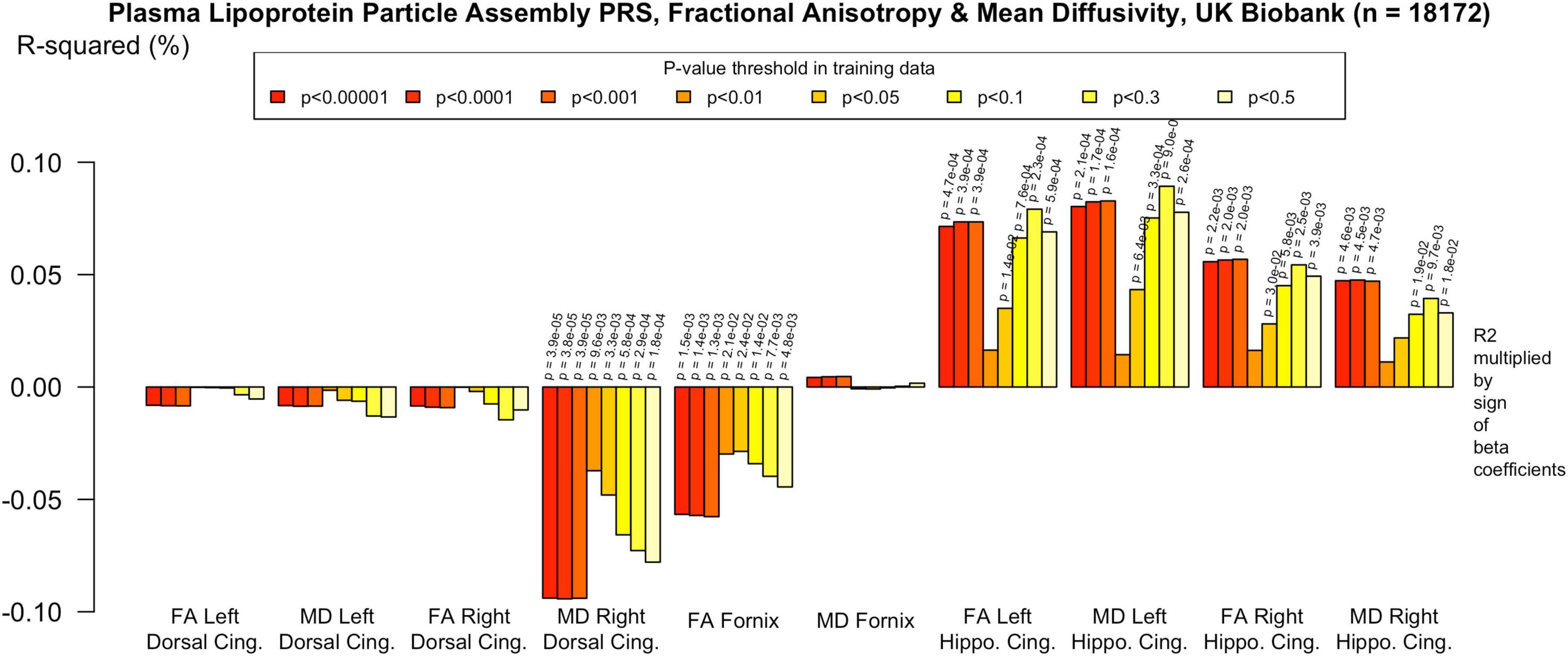 Bar chart titled “Plasma Lipoprotein Particle Assembly PRS, Fractional Anisotropy, and Mean Diffusivity, UK Biobank (n = 18172)” showing R-squared values (%) across different brain regions. Bars represent P-value thresholds ranging from less than 0.00001 to less than 0.5. Regions include left and right dorsal cingulate, fornix, and hippocampal cingulate, with both fractional anisotropy (FA) and mean diffusivity (MD) values. Colors range from red to yellow to white, indicating varying statistical significance. R-squared is multiplied by the sign of beta coefficients.