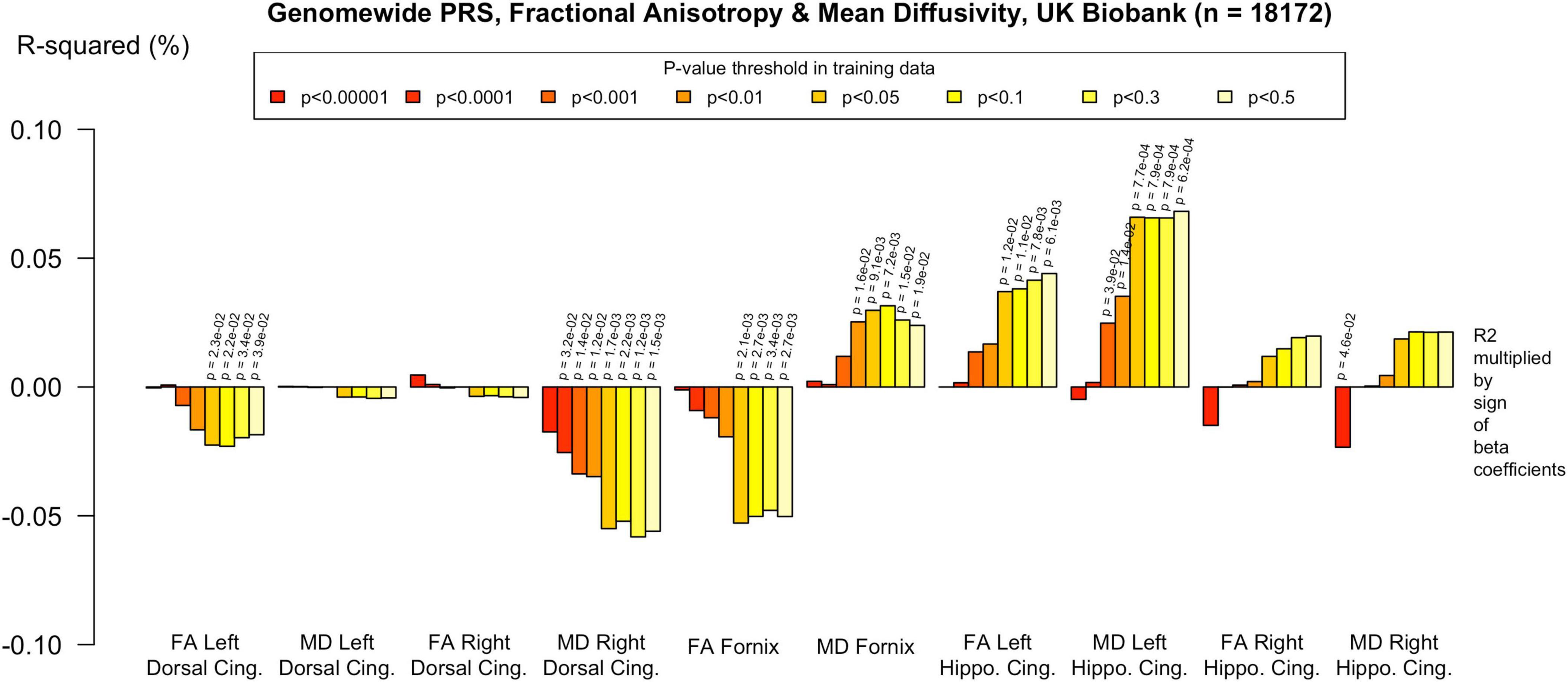 Bar chart showing the relationship between genomewide PRS, fractional anisotropy, and mean diffusivity in UK Biobank data. R-squared values are on the vertical axis. The horizontal axis includes brain regions: FA Left Dorsal Cingulate, MD Left Dorsal Cingulate, FA Right Dorsal Cingulate, MD Right Dorsal Cingulate, FA Fornix, MD Fornix, FA Left Hippocampus Cingulate, MD Left Hippocampus Cingulate, FA Right Hippocampus Cingulate, and MD Right Hippocampus Cingulate. Bars are colored by p-value thresholds, ranging from p<0.00001 to p<0.5.