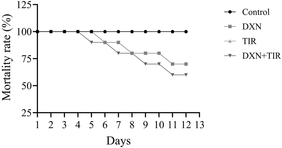 Line graph showing mortality rates over 13 days. The control group maintains a 100% mortality rate, represented by a horizontal line. DXN, TIR, and DXN+TIR groups show decreasing mortality trends at varying rates.