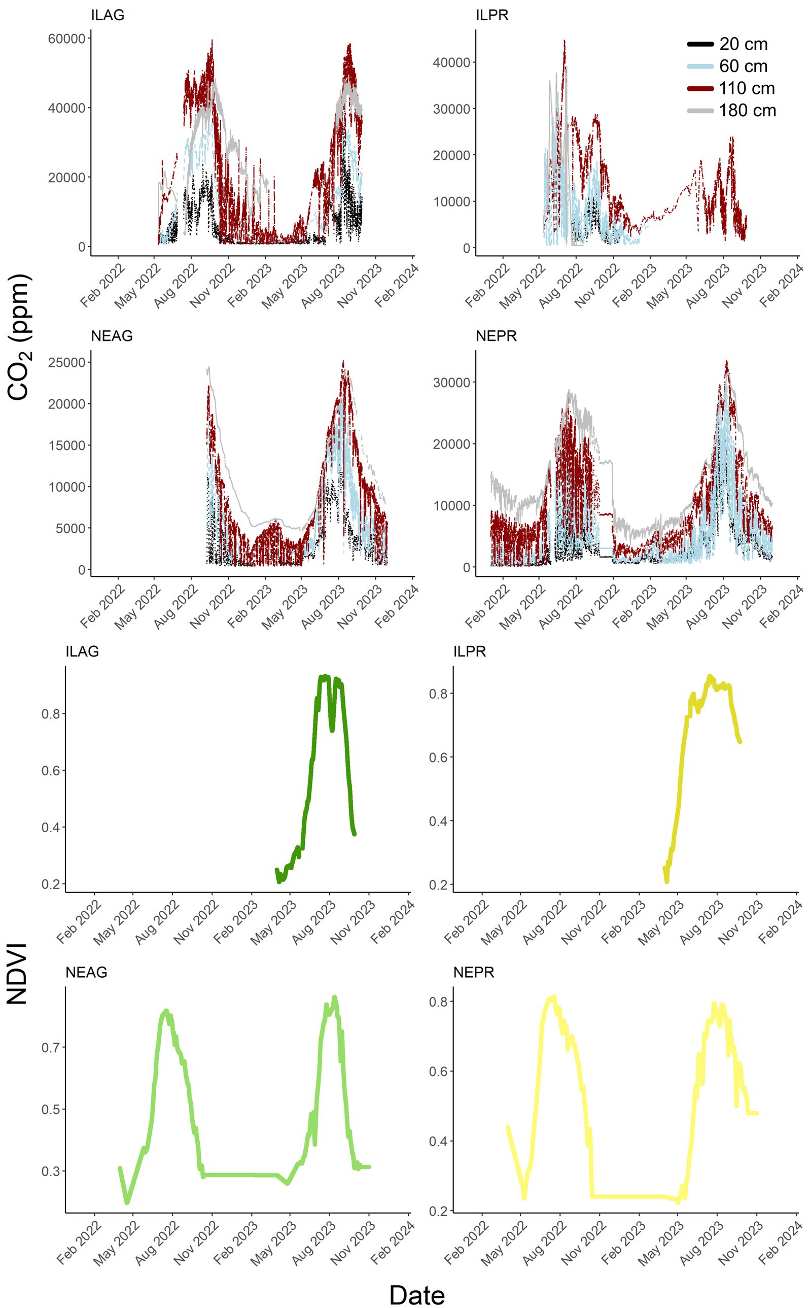 Graphs show carbon dioxide concentration and NDVI over time at different depths and sites from February 2022 to February 2024. CO2 is measured at 20 cm, 60 cm, 110 cm, and 180 cm depths in ppm. NDVI is depicted separately below each CO2 graph. CO2 data fluctuates with peaks observed in 2023, varying by depth and site. NDVI shows growth patterns aligning with CO2 peaks. Sites include ILAG, ILPR, NEAG, and NEPR.