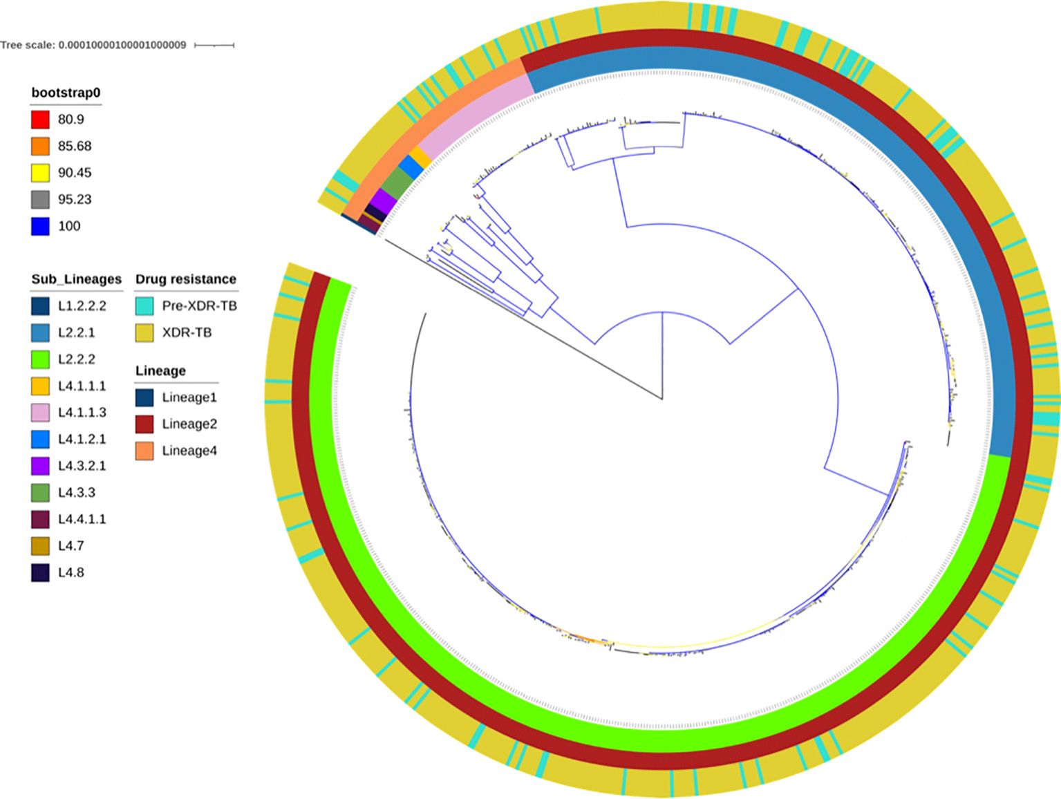 Circular phylogenetic tree diagram illustrating various lineages and sub-lineages, with color-coded sections denoting bootstrap values and drug resistance types. A key on the left explains the colors for bootstrap values, sub-lineages, drug resistance (Pre-XDR-TB and XDR-TB), and lineages (Lineage 1, 2, and 4). The outer rings represent distinct characteristics, with colors indicating specific sub-lineages and resistance categories.