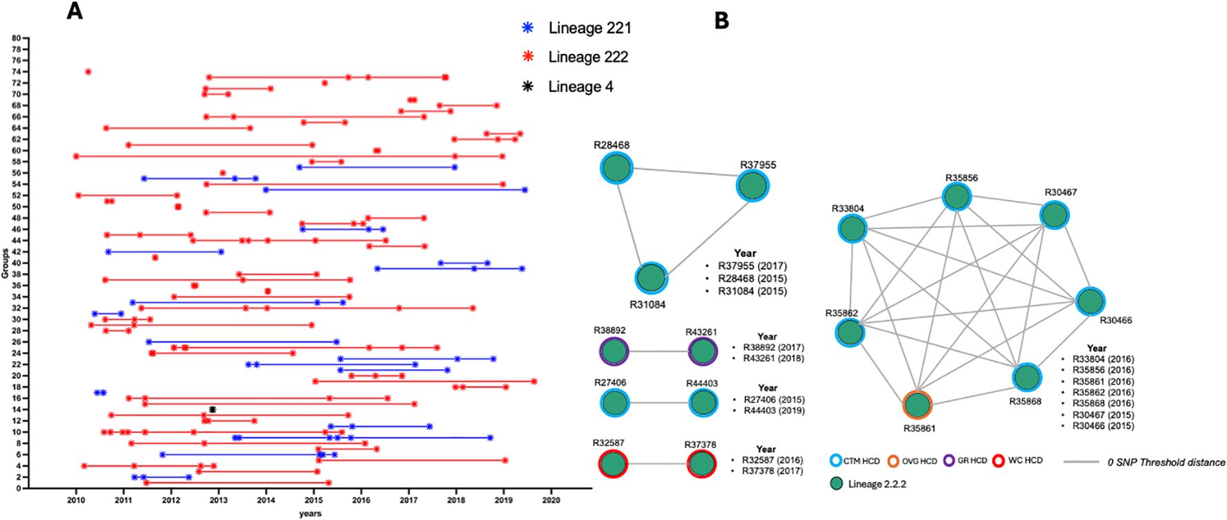 Panel A shows a timeline graph from 2010 to 2020 indicating genetic lineages with Lineage 221 in blue, Lineage 222 in red, and Lineage 4 in black across various groups. Panel B displays network diagrams with nodes representing samples from different years, colored by lineage and SNP threshold distance, illustrating connections between samples R28468, R37955, and others.