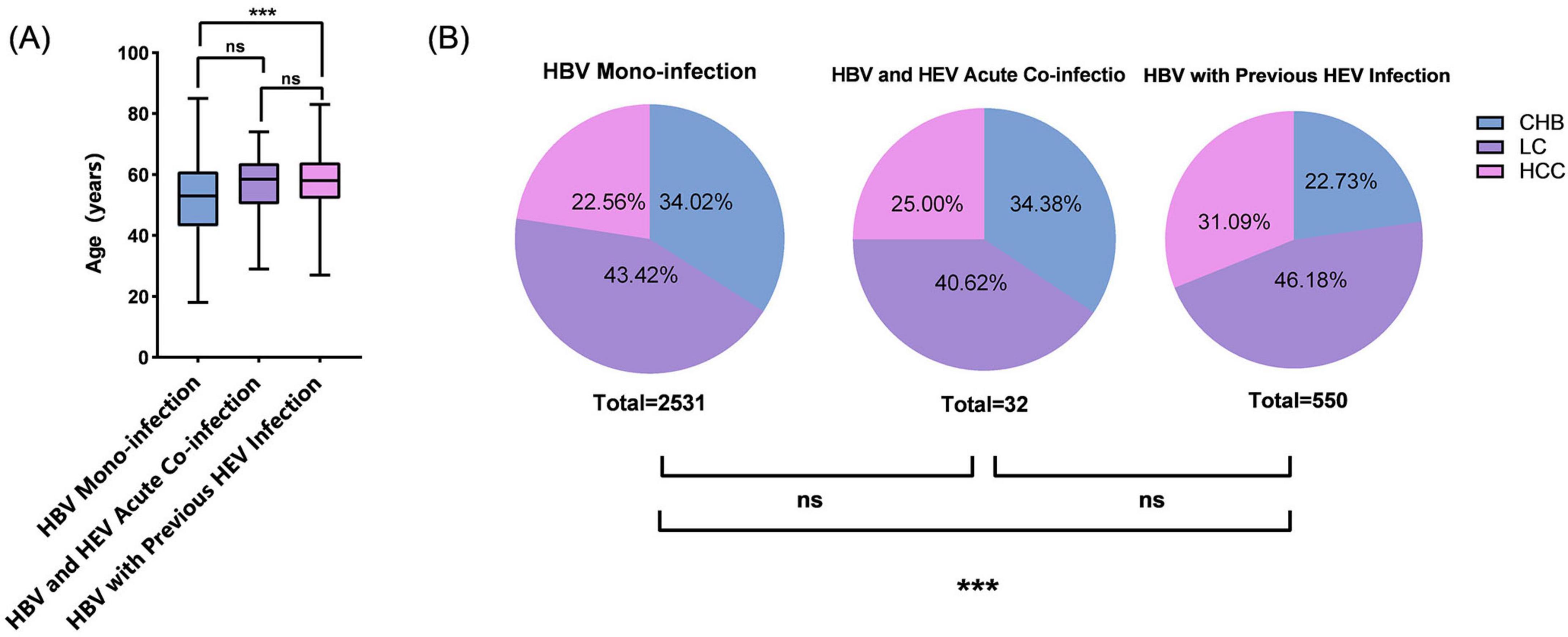 (A) A box plot shows age distribution across three groups: HBV Mono-infection, HBV and HEV Acute Co-infection, and HBV with Previous HEV Infection. Significant differences are marked with asterisks. (B) Three pie charts display infection distribution among three groups, with percentages for CHB, LC, and HCC. The total count for each group is noted below the charts, with significant differences marked by asterisks.