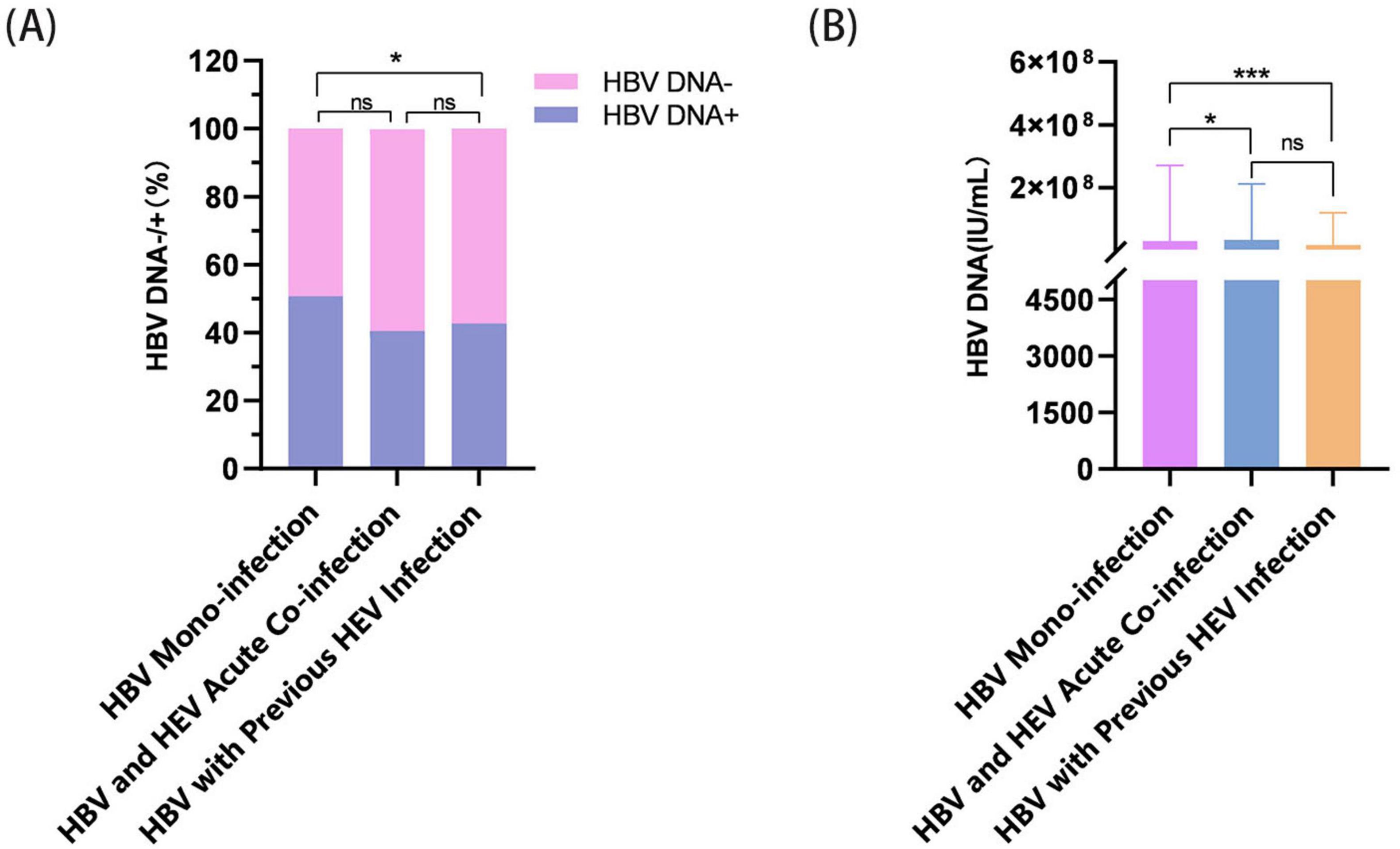 Graph (A) shows the percentage of HBV DNA positive and negative cases among three groups: HBV mono-infection, HBV and HEV acute co-infection, and HBV with previous HEV infection. Significant differences are marked with an asterisk. Graph (B) presents HBV DNA levels in IU/mL for the same groups, with significance denoted by asterisks.