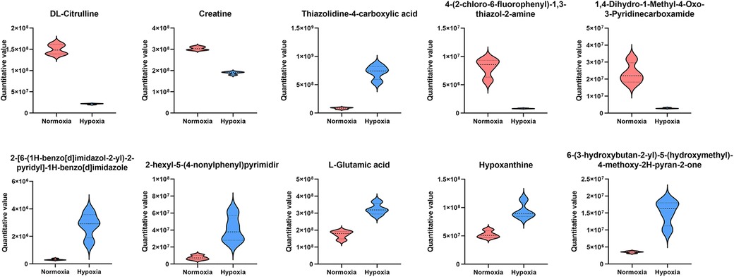 Eight violin plots showing quantitative values under normoxia and hypoxia conditions for various compounds, including DL-Citrulline, Creatine, and others. Each plot displays different distribution patterns between the two conditions, with notable variations in median and spread for each compound.