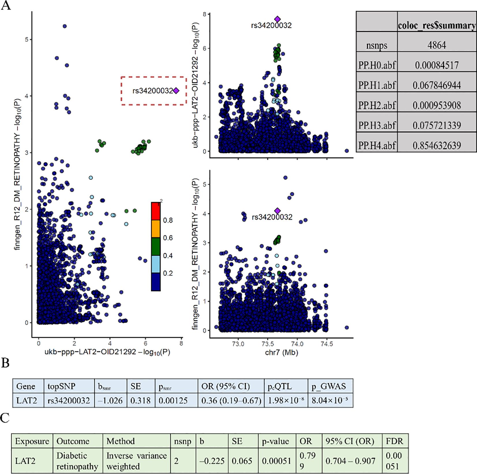 A figure composed of three panels labeled A, B, and C. Panel A features scatter plots with SNP rs3420032 marked, and a heatmap indicating significance levels. Panel B presents a table with genetic associations for the LAT2 gene, including odds ratios and confidence intervals. Panel C displays another table summarizing a causal analysis of LAT2 on diabetic retinopathy, with statistical metrics such as p-values and odds ratios.