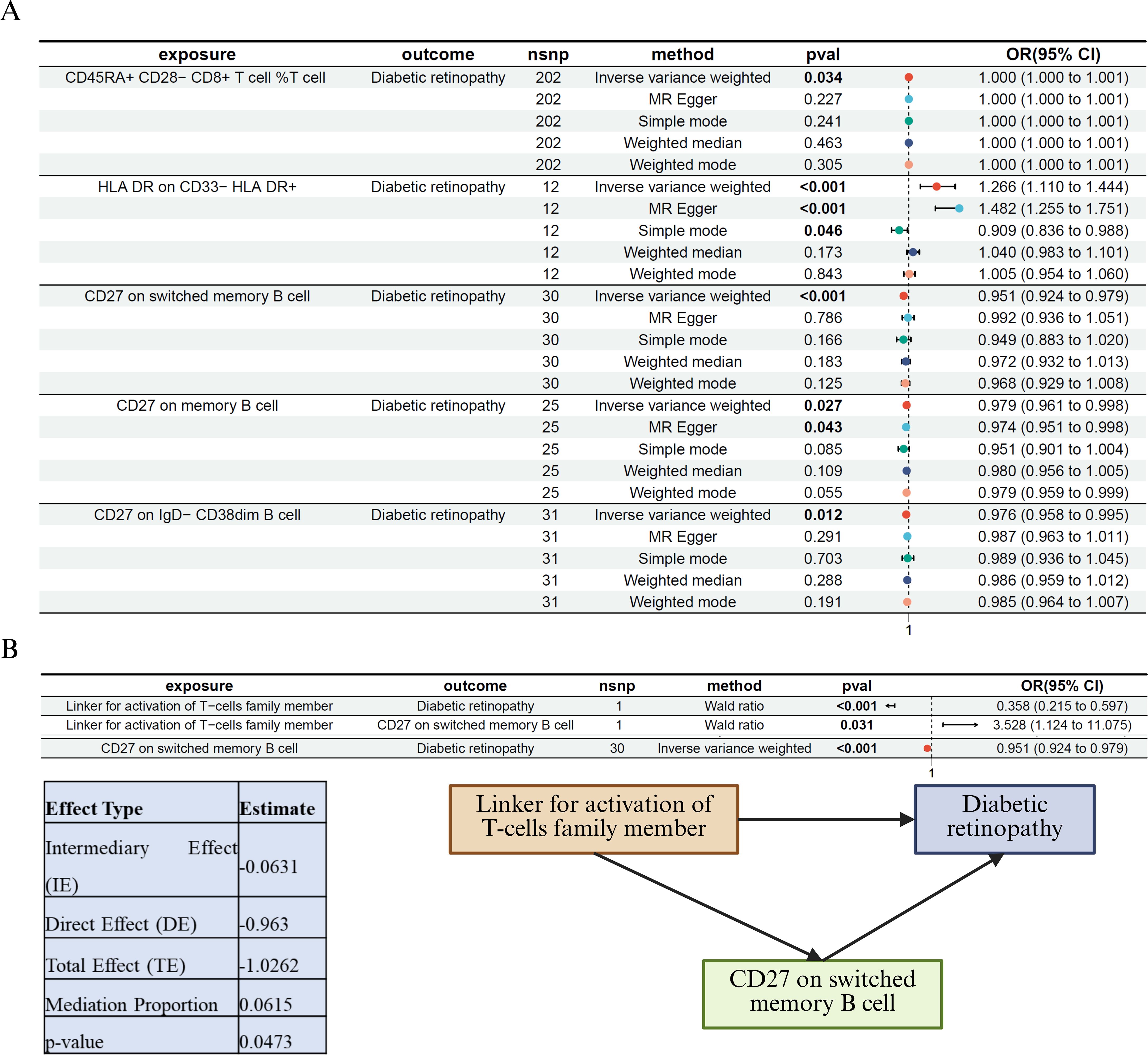 Chart A displays various immune cell markers and their associations with diabetic retinopathy. It includes columns for exposure, outcome, number of single nucleotide polymorphisms (nsnp), method, p-value, and odds ratio with confidence intervals. Chart B shows a mediation analysis with a flow diagram indicating pathways from “Linker for activation of T-cells family member” to “Diabetic retinopathy,” mediated by “CD27 on switched memory B cell.” The table summarizes effect types, estimates, and a p-value.