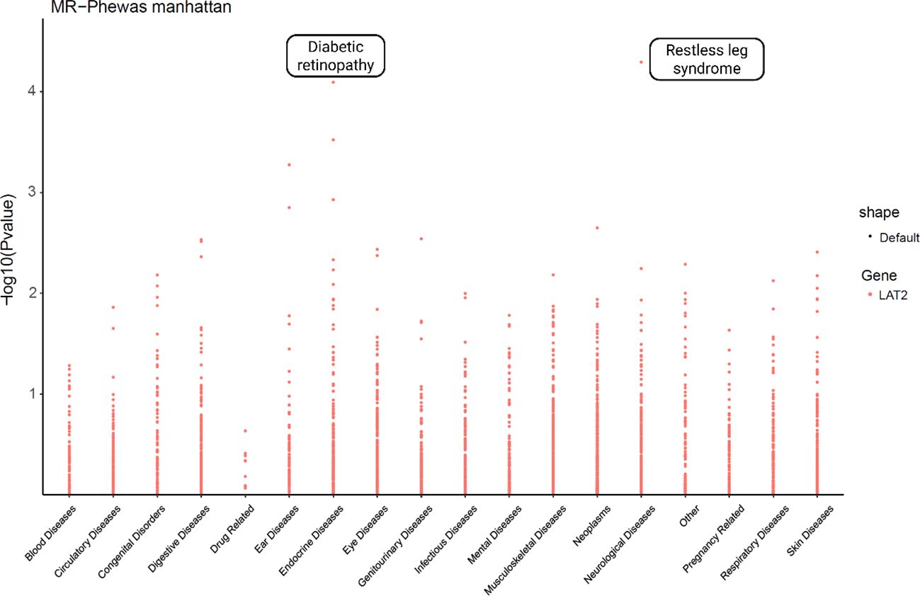 A Manhattan plot showing the results of an MR-PheWAS analysis. The x-axis displays various disease categories, such as blood, circulatory, congenital, and more, while the y-axis represents the -log10(p-value). Notable points are highlighted for diabetic retinopathy and restless leg syndrome. A legend indicates the gene LAT2.