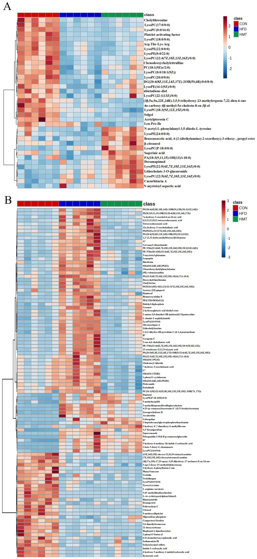 Heatmaps labeled A and B show metabolite data with color gradients from blue to red, representing values from -3 to 3. Group classes are indicated by different colors: red for CON, blue for HFD, and green for HMT. Various metabolites are listed alongside in each panel. Cluster dendrograms are on the left.