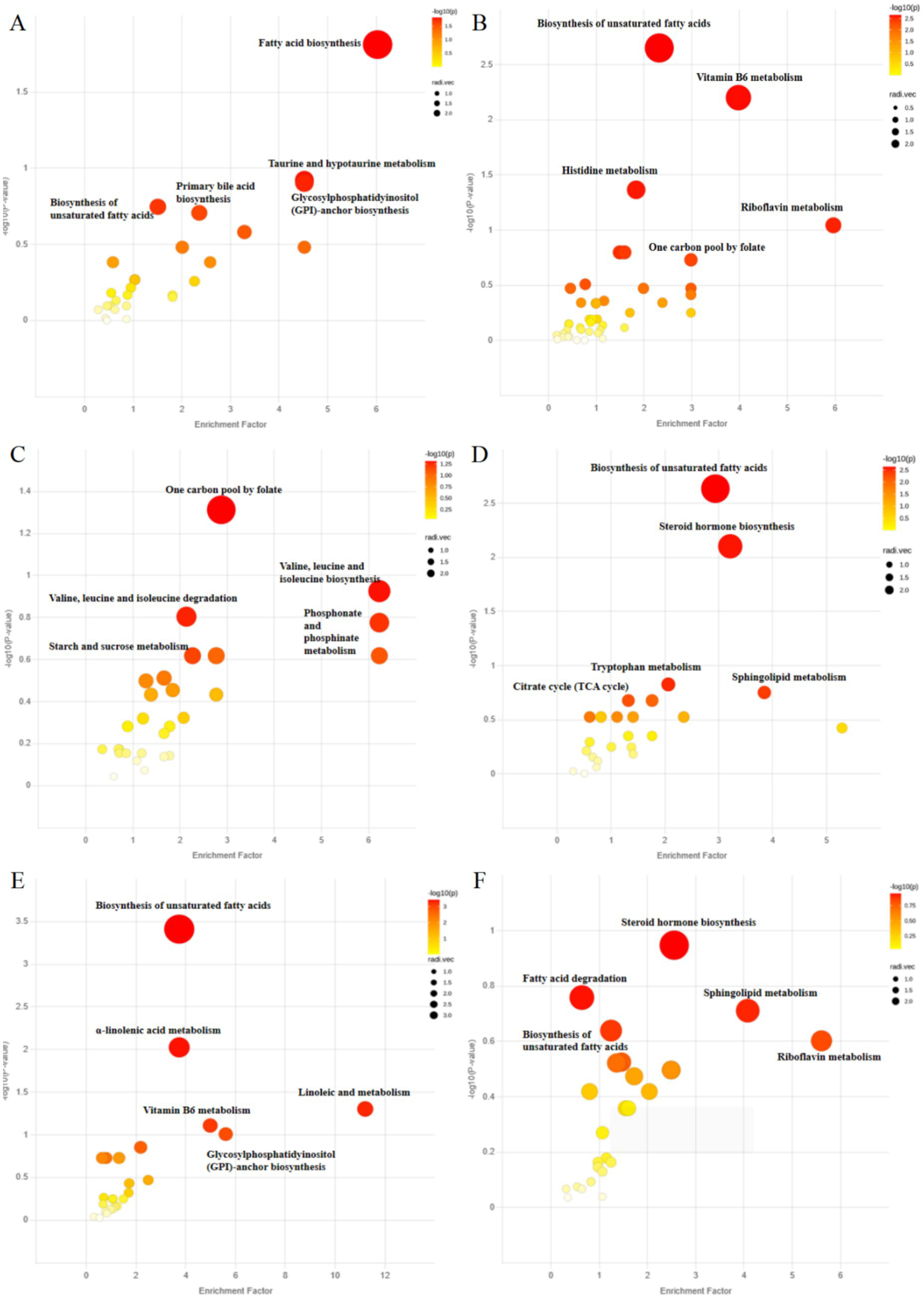 Six bubble plots labeled A to F, each displaying metabolic pathways with enrichment factors on the x-axis and negative log P-values on the y-axis. Bubble sizes and colors represent -log(P) values. Notable pathways include fatty acid biosynthesis, biosynthesis of unsaturated fatty acids, and steroid hormone biosynthesis, with significant variances in enrichment factors and significance levels. Color ranges from yellow to red indicate increasing significance.