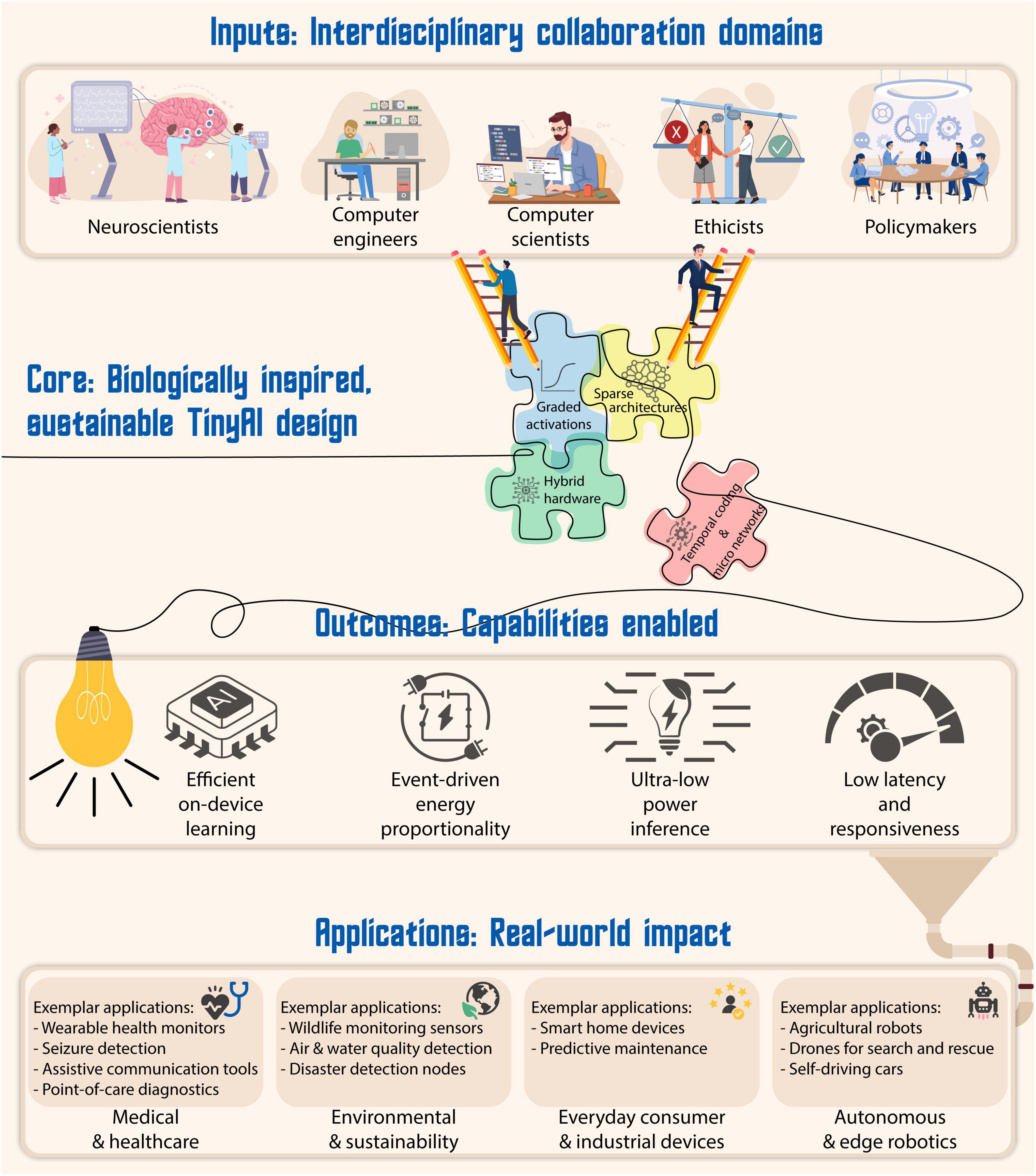 Interdisciplinary collaboration involving neuroscientists, computer engineers, computer scientists, ethicists, and policymakers contributes to a biologically inspired, sustainable TinyAI design. Core concepts include graded activations, sparse architectures, hybrid hardware, and energy considerations. Enabled capabilities include efficient on-device learning, event-driven energy proportionality, ultra-low power inference, and low latency responsiveness. Real-world applications cover medical and healthcare, environmental sustainability, everyday consumer industrial devices, and autonomous edge robotics, featuring various specific uses such as wearable health monitors, wildlife monitoring sensors, smart home devices, and agricultural robots.