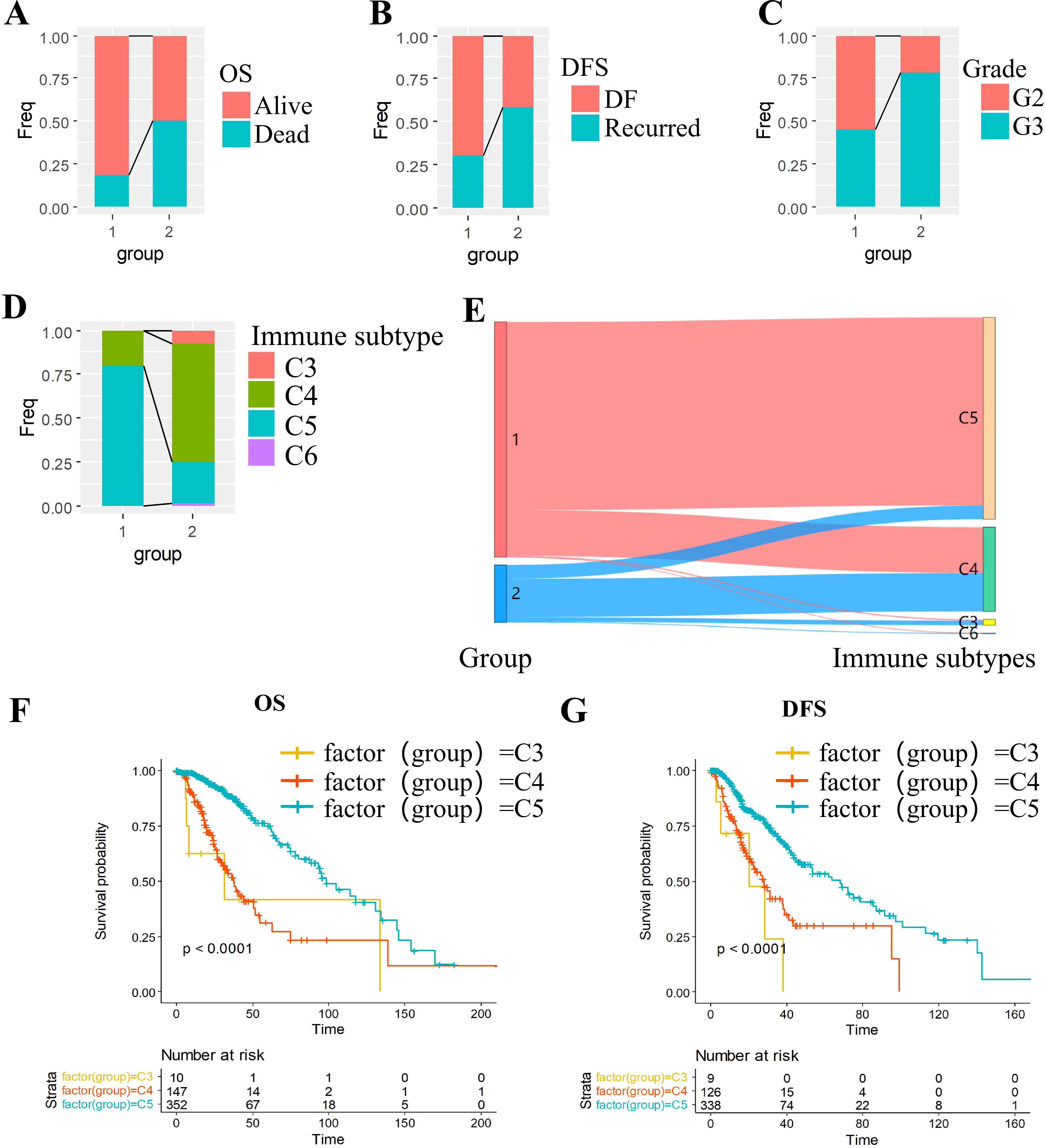 Grouped image showing several visualizations related to survival analysis: A) Bar chart titled “OS” compares the frequency of alive versus dead status for two groups. B) Bar chart titled “DFS” compares the frequency of distant failure versus recurrence for two groups. C) Bar chart titled “Grade” compares two grades across two groups. D) Bar chart titled “Immune subtype” shows the distribution of immune subtypes C3, C4, C5, and C6 across two groups. E) Sankey diagram connects two groups to immune subtypes C3 to C6. F) Kaplan-Meier plot for overall survival (OS) shows survival probability over time for immune subtypes C3, C4, and C5. G) Kaplan-Meier plot for disease-free survival (DFS) shows survival probability over time for immune subtypes C3, C4, and C5. Both plots include a significant p-value and number at risk data.