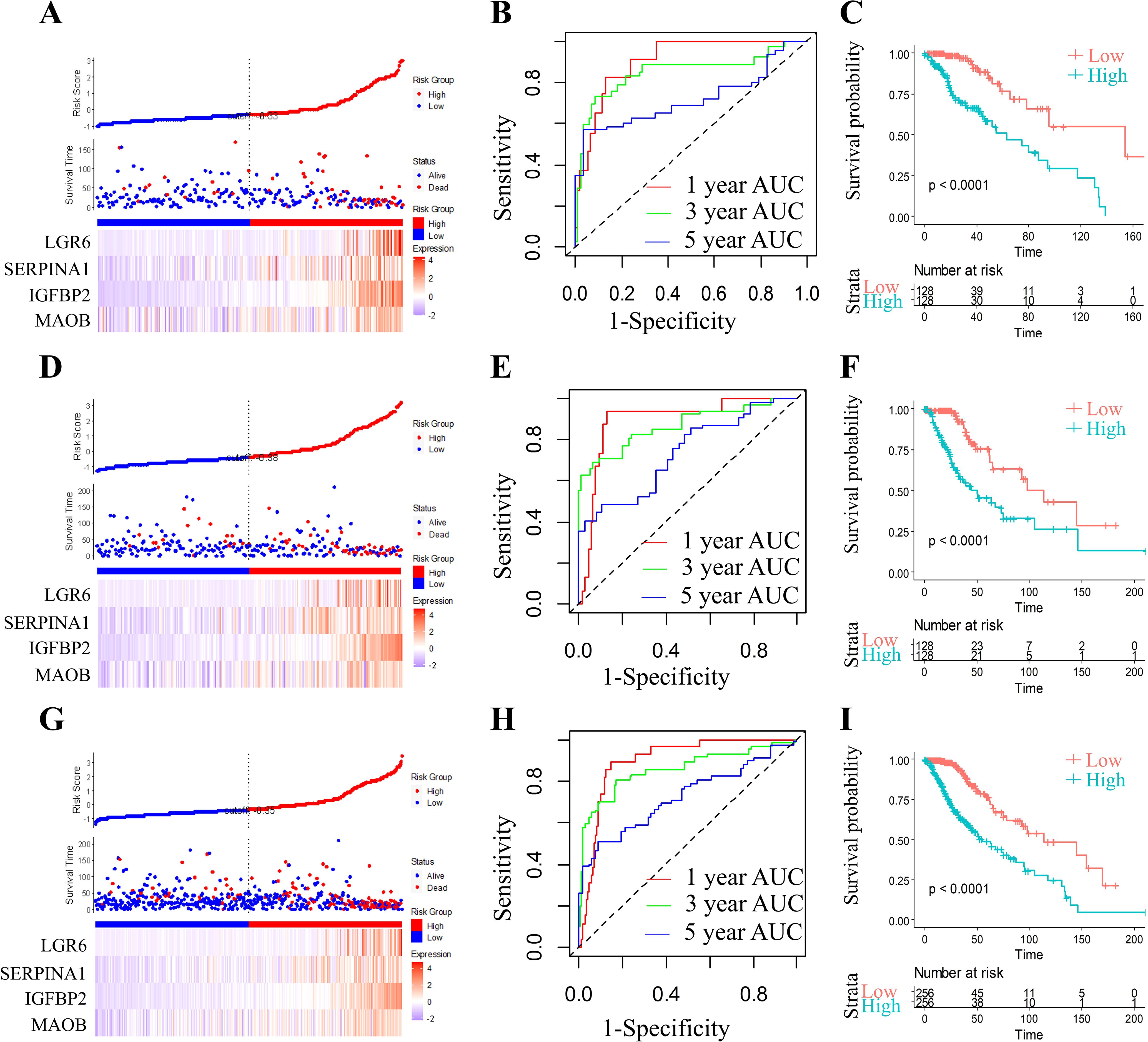 Three sets of charts (A-C, D-F, G-I) display survival analysis data. Each set includes: A risk score plot by gene expression, a ROC curve with AUC values for one, three, and five years, and a Kaplan-Meier survival plot comparing high and low-risk groups. Significant p-values are indicated. Gene expressions include LGR6, SERPINA1, IGFBP2, and MAOB.