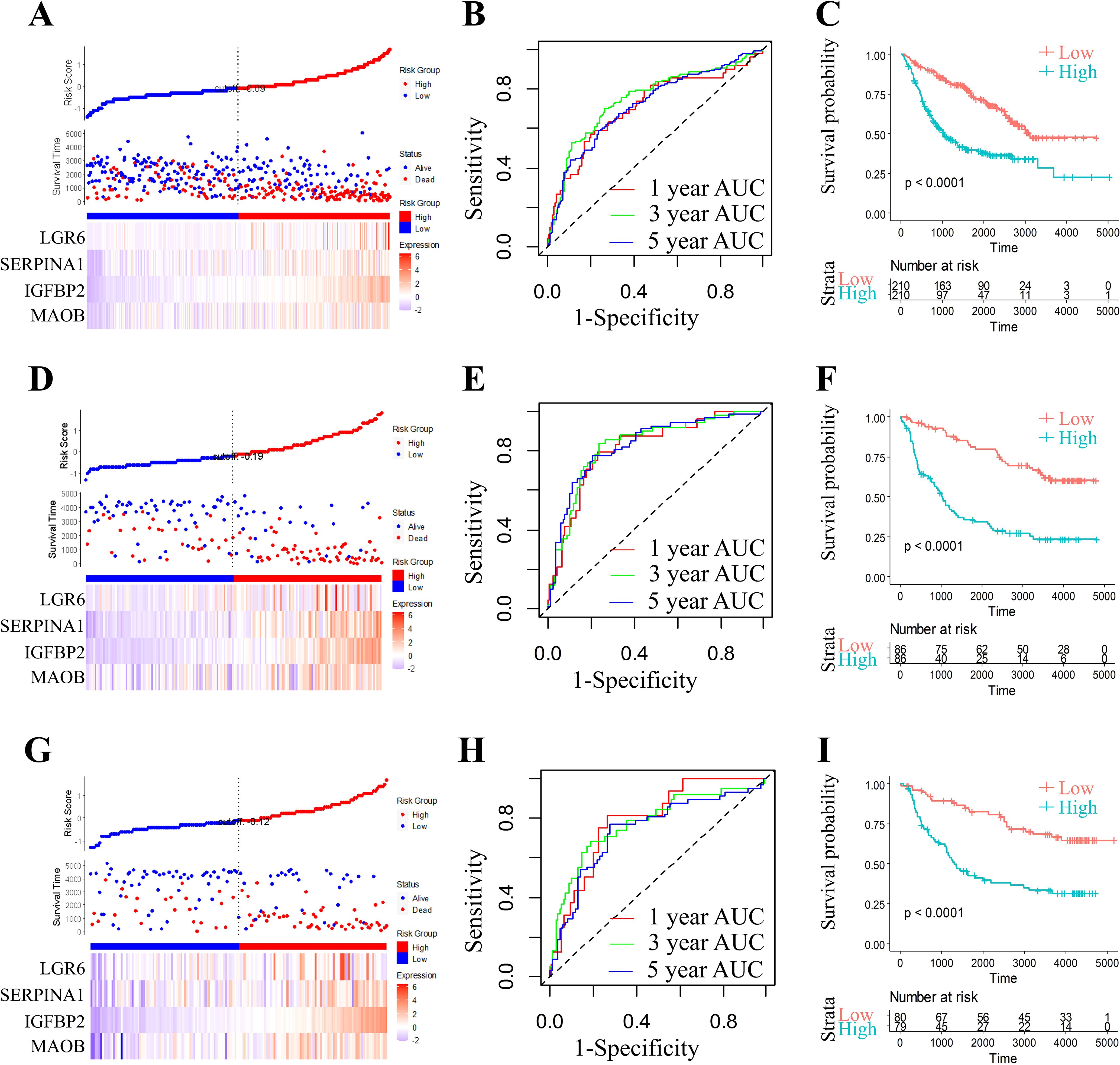 Panel A, D, and G show risk scores and survival times for high and low-risk groups, with gene expression heatmaps for LGR6, SERPINA1, IGFBP2, and MAOB. Panels B, E, and H display ROC curves with AUC for one, three, and five-year predictions. Panels C, F, and I depict survival probability curves over time for low and high-risk groups, with statistical significance indicated.