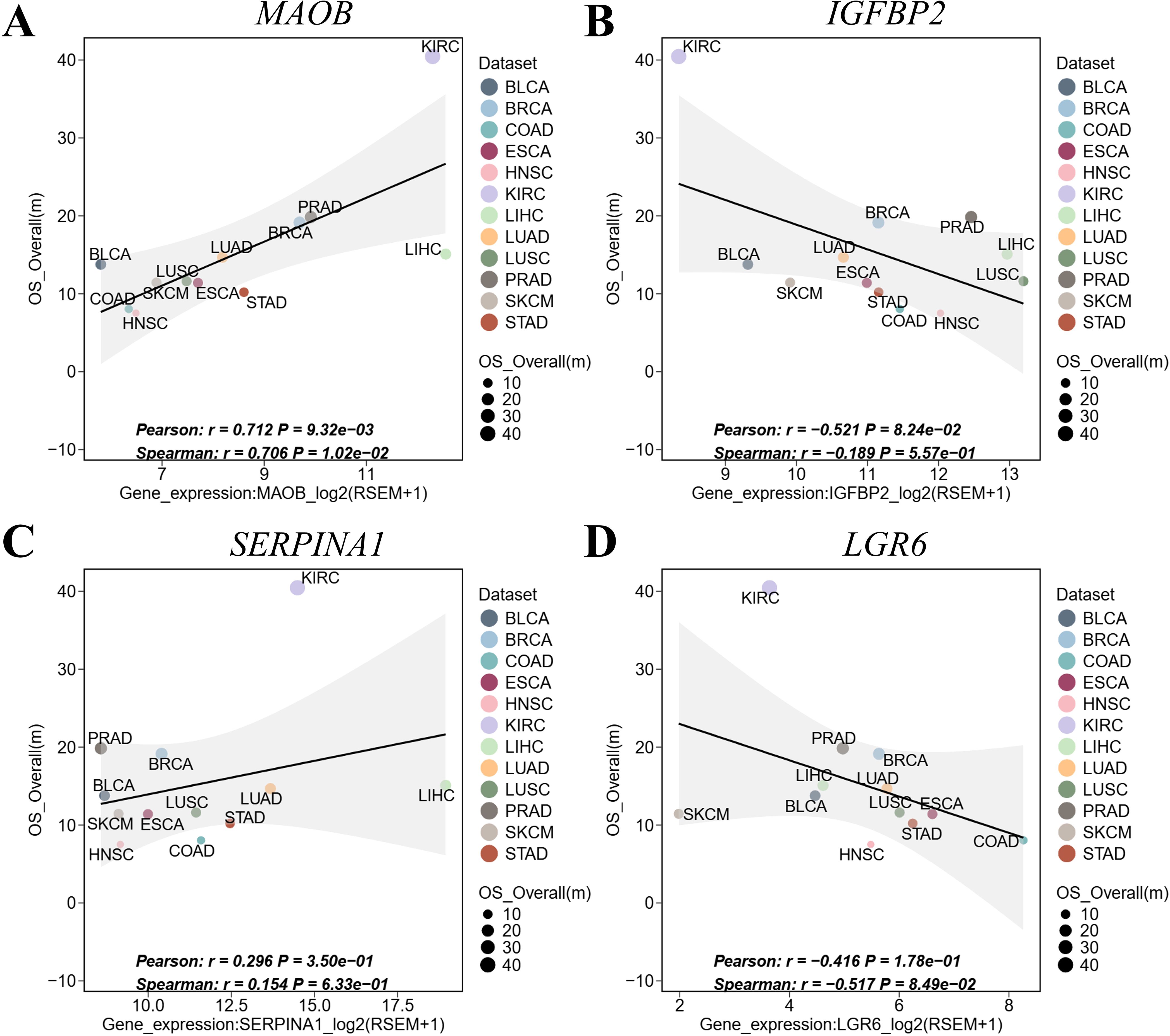 Four scatter plots (A, B, C, D) display gene expression correlations with overall survival across different cancer types. Plots show MAOB, IGFBP2, SERPINA1, LGR6 gene expressions on the x-axes and OS_Overall (months) on the y-axes. Each point represents a cancer type dataset, indicated by color. The size of points reflects survival months. Pearson and Spearman correlation values are noted on each plot. A legend identifies the cancer types.