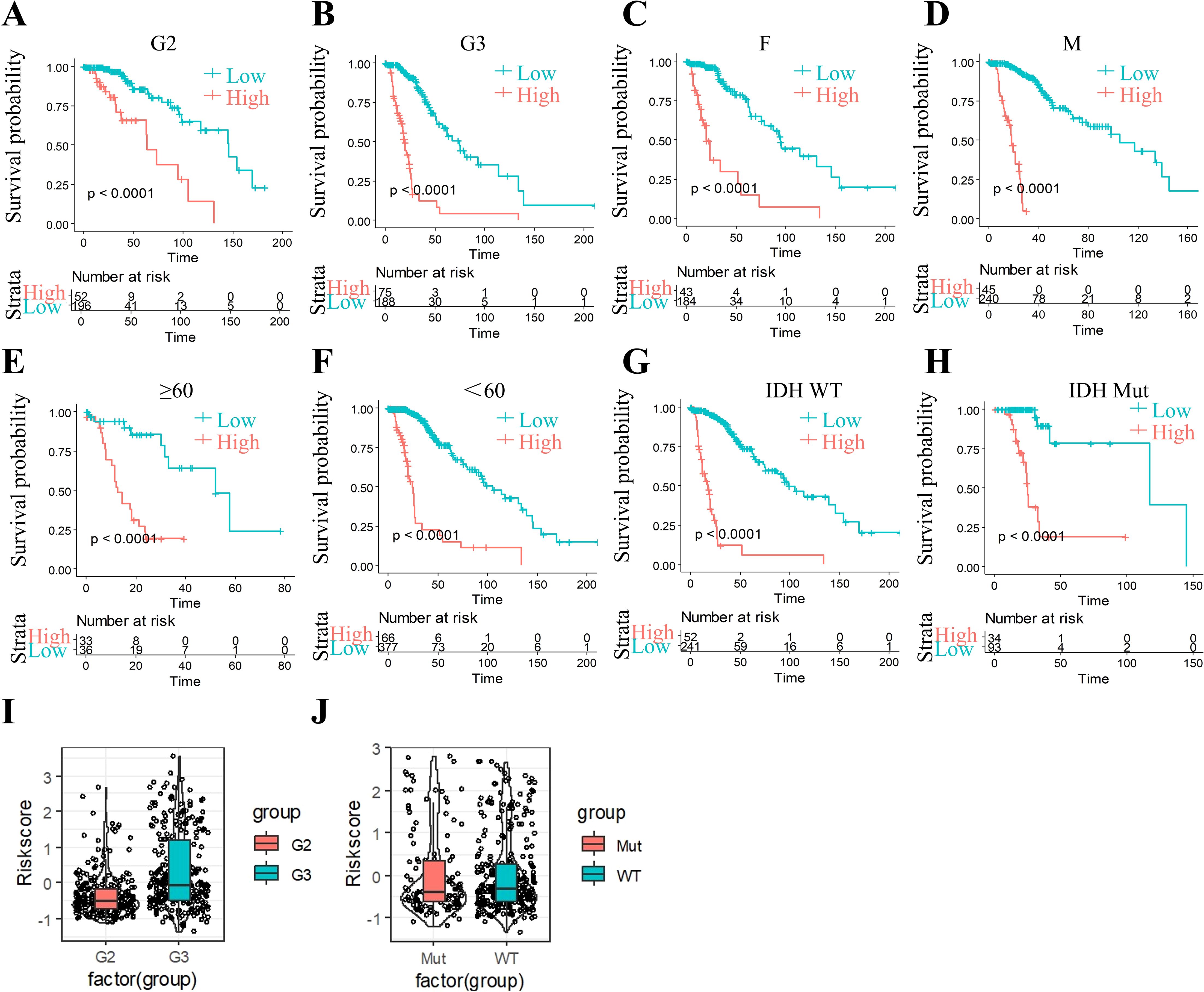 Survival probability and risk score analysis graphs. Panels A-H: Kaplan-Meier survival curves for different groups showing statistical significance (p < 0.0001) between high and low strata. Panel I: Box plot comparing risk scores between G2 and G3 groups, with G3 showing lower scores. Panel J: Box plot comparing risk scores between mutated (Mut) and wild type (WT) groups, with WT showing lower scores.