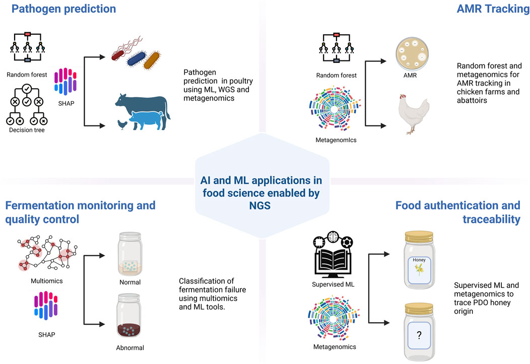 Diagram illustrating AI and ML applications in food science enabled by NGS. Top left: Pathogen prediction using random forest and SHAP for poultry with ML, WGS, and metagenomics. Top right: AMR tracking in chickens using random forest and metagenomics. Bottom left: Fermentation monitoring with multiomics and ML tools for quality control. Bottom right: Food authentication using supervised ML and metagenomics to trace PDO honey origin.