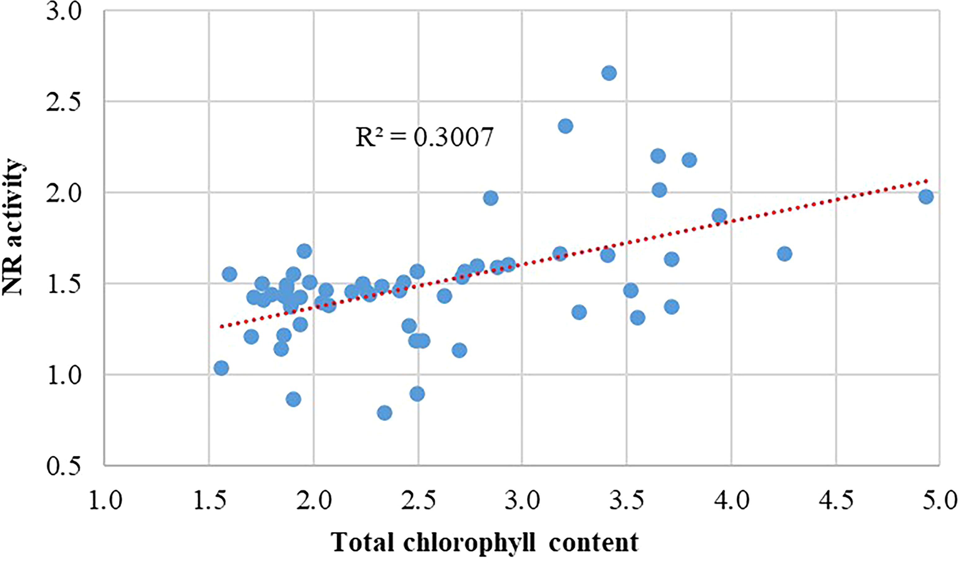 Scatter plot showing NR activity versus total chlorophyll content, with a positive correlation. A red dotted trend line suggests a weak relationship, with an R-squared value of 0.3007.