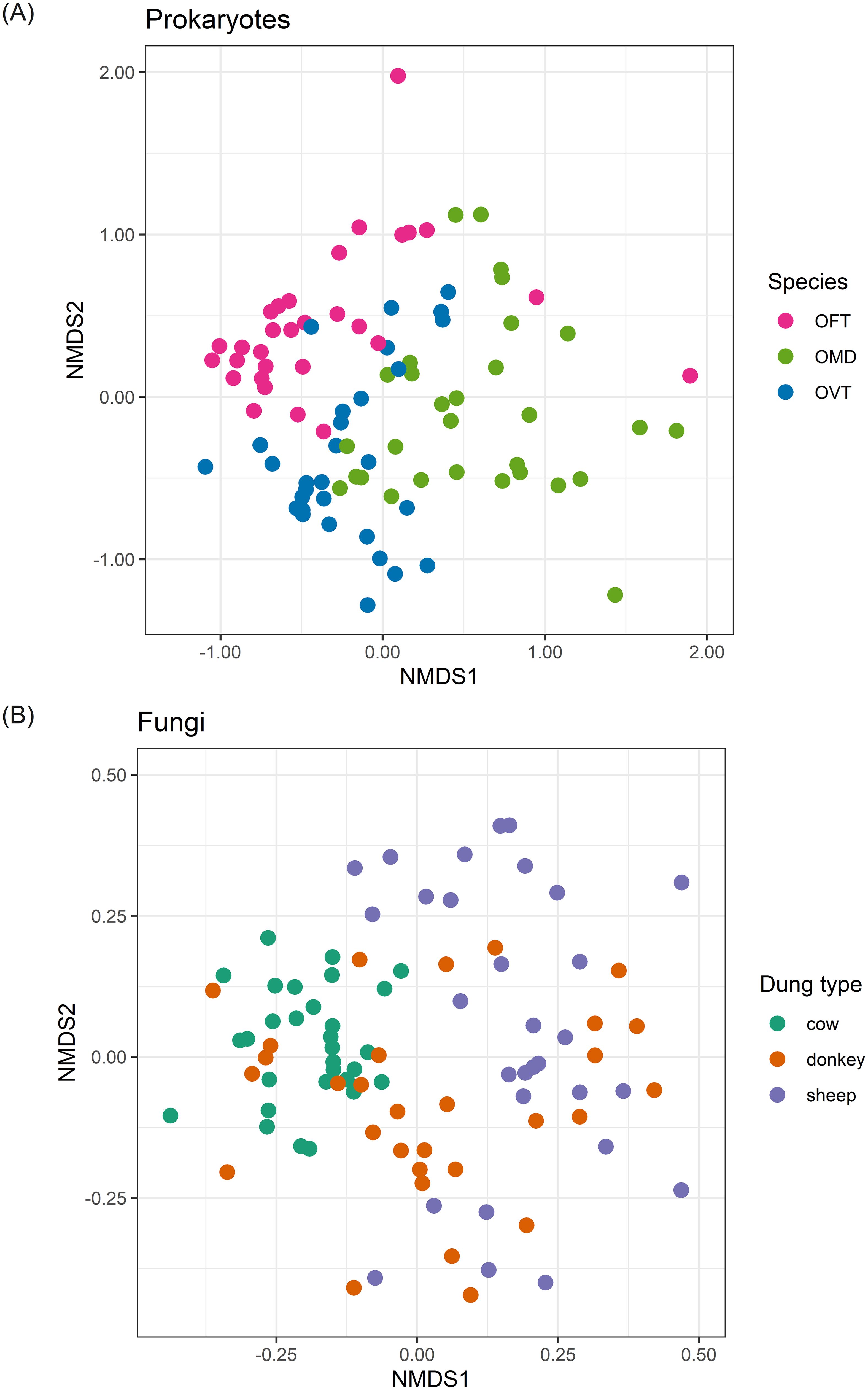 Scatter plots showing two NMDS analyses. (A) Prokaryotes, with species color-coded: pink for OFT, green for OMD, and blue for OVT. (B) Fungi, with dung type color-coded: green for cow, orange for donkey, and purple for sheep. Both plots display points distributed along NMDS1 and NMDS2 axes.