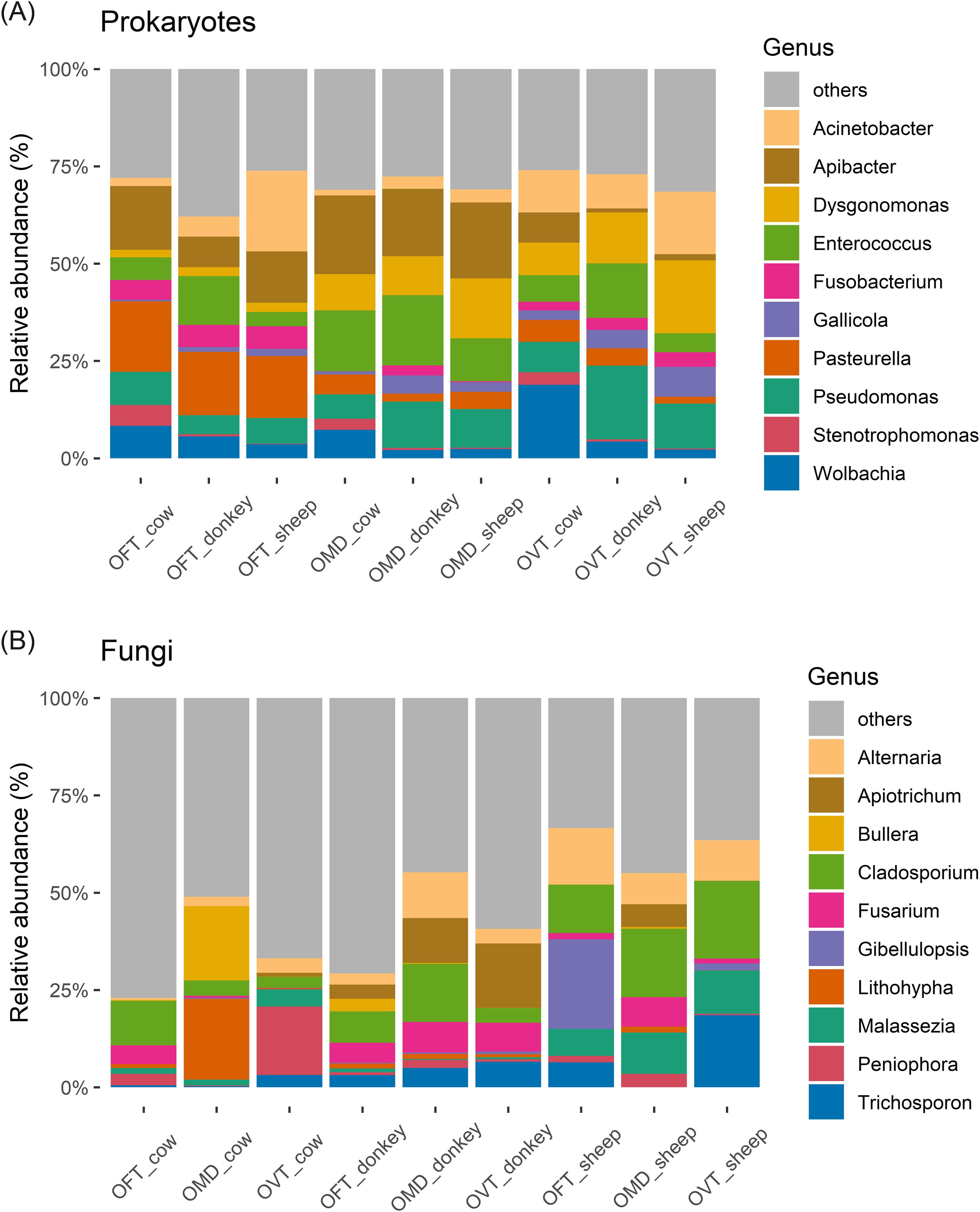 Bar charts depicting the relative abundance of prokaryotes (A) and fungi (B) across different samples labeled OFT, OMD, and OVT for cows, donkeys, and sheep. In chart A, various colors represent genera such as Acinetobacter, Enterococcus, and others. In chart B, genera include Alternaria, Cladosporium, and others. Both charts show abundance percentages from 0% to 100%, with a legend indicating genus colors.