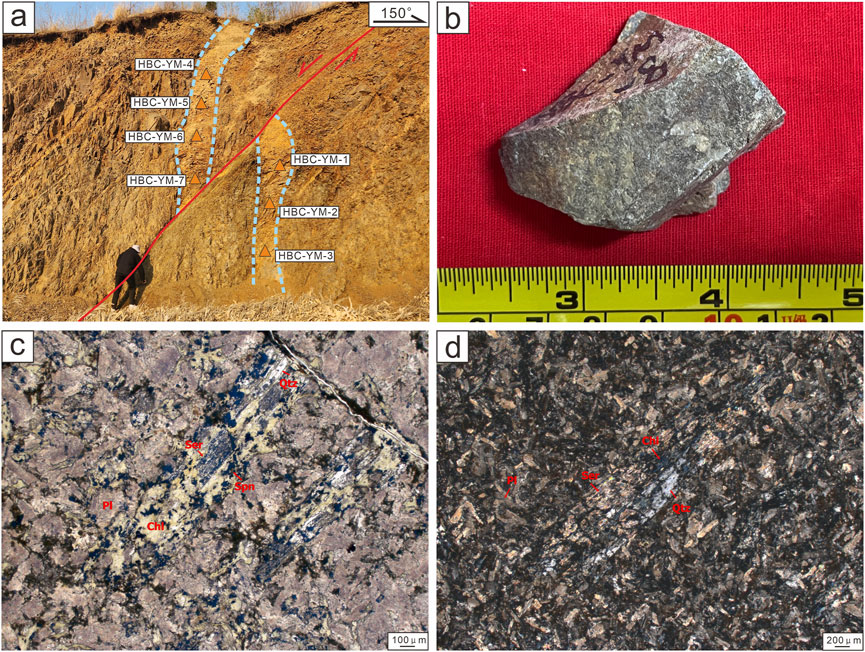 a) A geological outcrop showing labeled stratigraphic layers. A person for scale. b) A rock sample on a red background with a measuring tape indicating size. c) Microscopic view of minerals with annotations like Pl, Chl, and Qtz, scale 100 micrometers. d) Another microscopic view with annotations including Chl and Qtz, scale 200 micrometers.