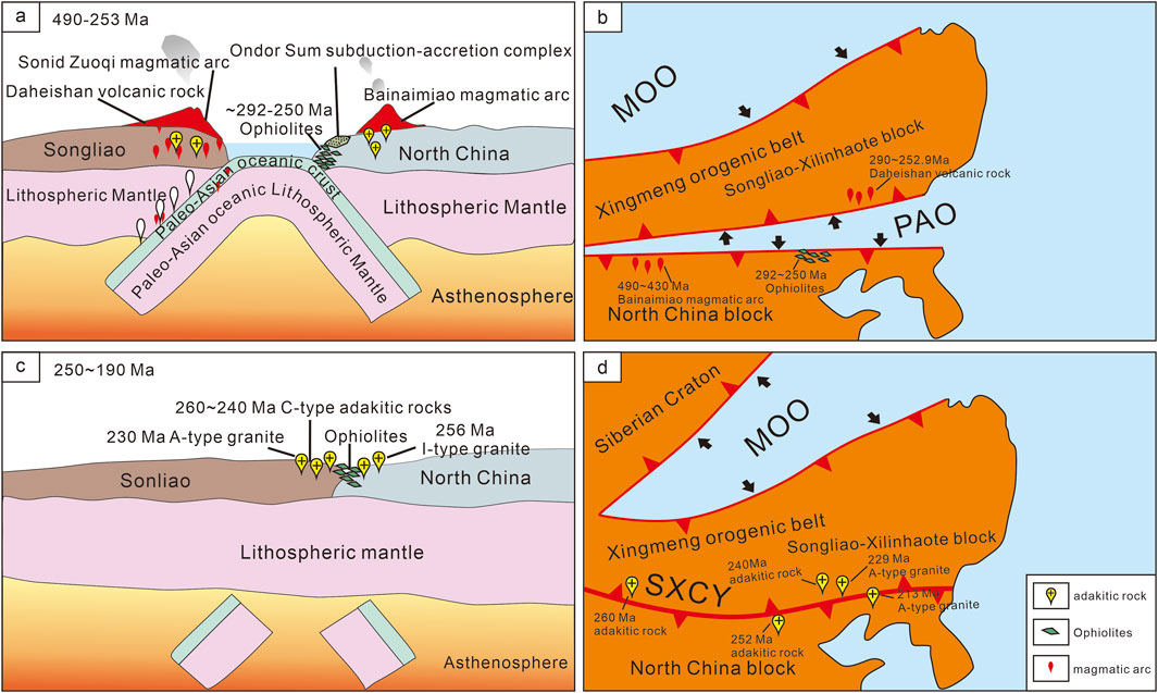 Geological diagrams in four panels. Panel (a) shows a cross-section of the Paleo-Asian oceanic crust, lithospheric mantle, and asthenosphere with magmatic arcs and ophiolites labeled around 490-253 Ma. Panel (b) displays tectonic features including the Xingmeng orogenic belt and magmatic arcs in North China. Panel (c) illustrates geological formations from 250-190 Ma with adakitic rocks, granites, and ophiolites. Panel (d) depicts the Siberian Craton and tectonic structures, with labels for adakitic and A-type granites. Legends indicate rock types: adakitic, ophiolites, and magmatic arcs.