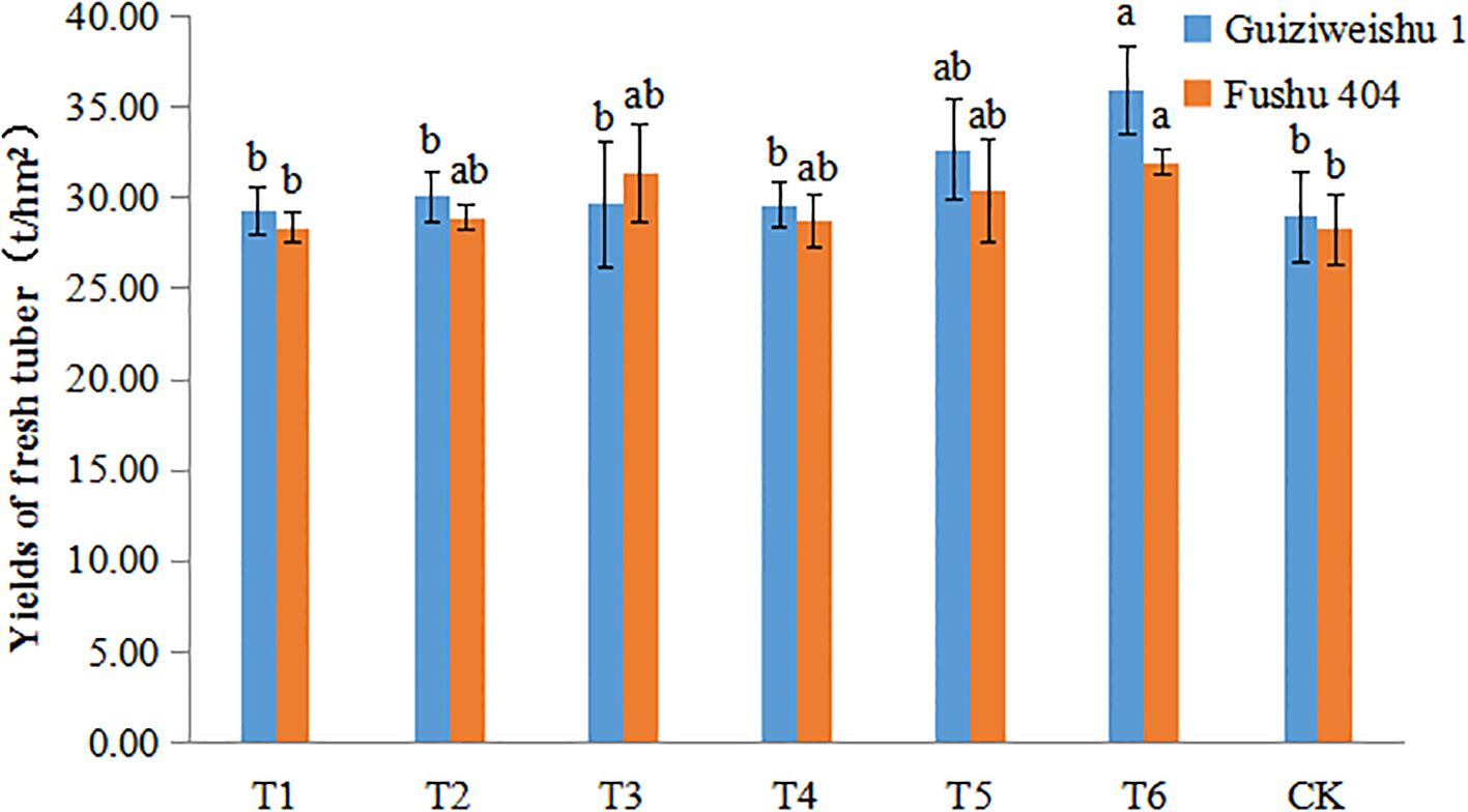 Bar chart comparing the yields of fresh tubers between Guiziweishu 1 (blue) and Fushu 404 (orange) across treatments T1 to T6 and CK. Yields range from around 25 to 35 t/hm², with annotated significance levels indicated by letters a, ab, and b.