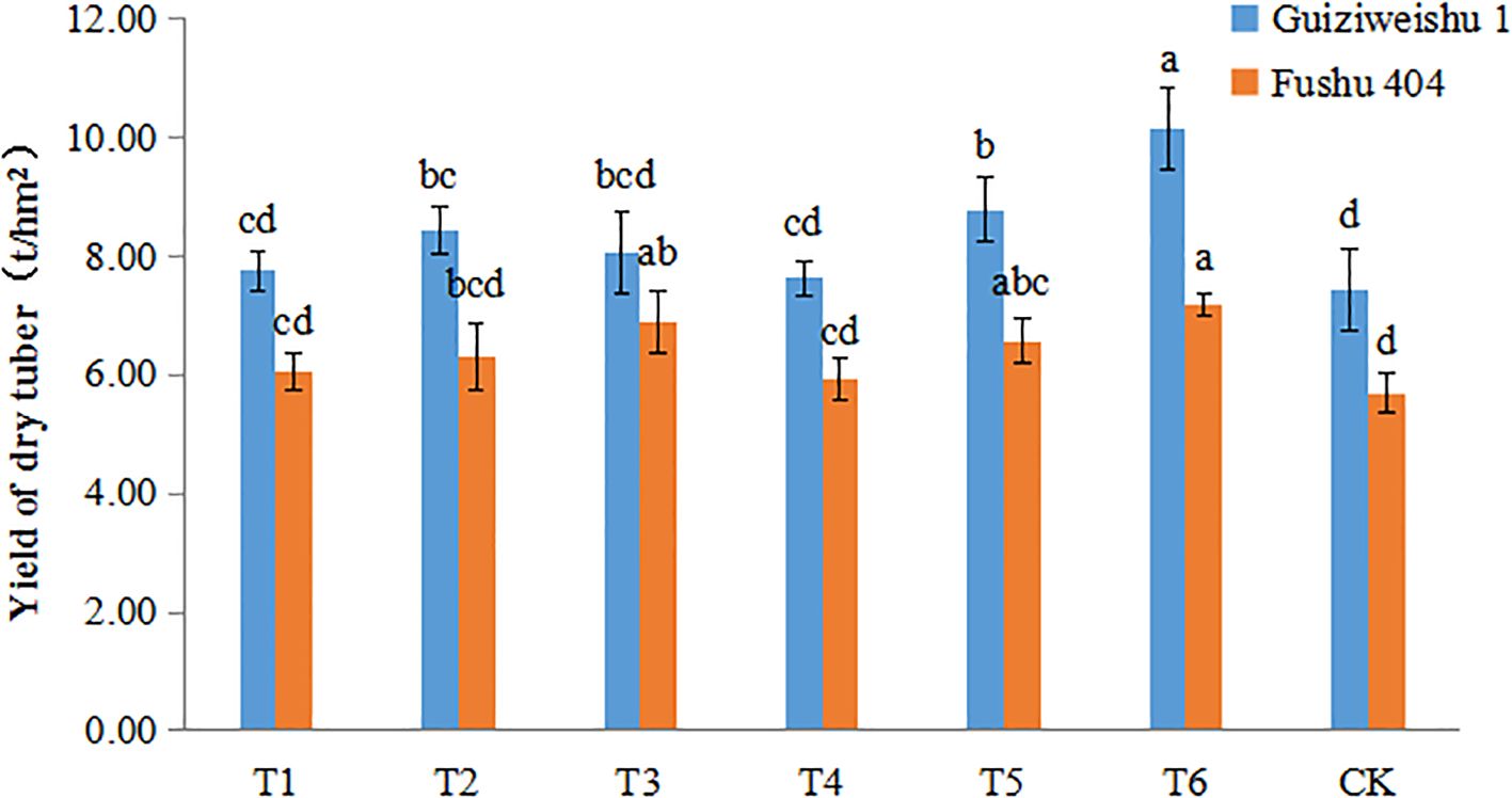 Bar chart comparing the yield of dry tuber in tons per hectare for Guiziweishu 1 (blue) and Fushu 404 (orange) across treatments T1 to T6 and CK. Guiziweishu 1 generally shows higher yields, with significant differences indicated by letters above the bars.