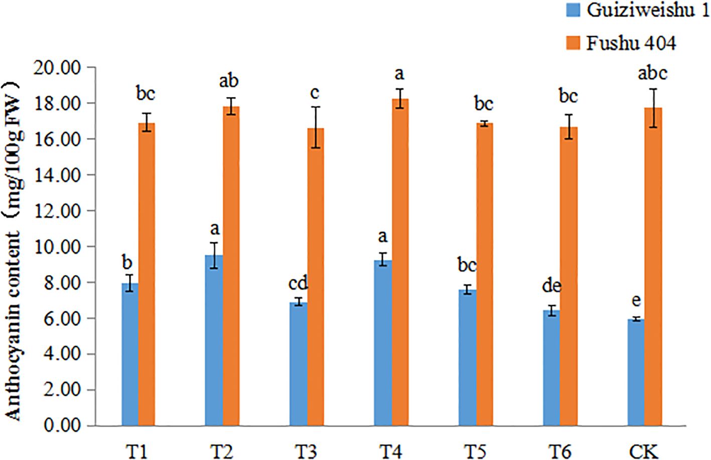 Bar chart comparing anthocyanin content in Guiziweishu 1 and Fushu 404 across treatments T1 to T6 and CK. Fushu 404 consistently shows higher content, with values ranging from around 14 to 19 milligrams per 100 grams fresh weight. Guiziweishu 1 values range from about 6 to 11 milligrams. Error bars are present for each value.