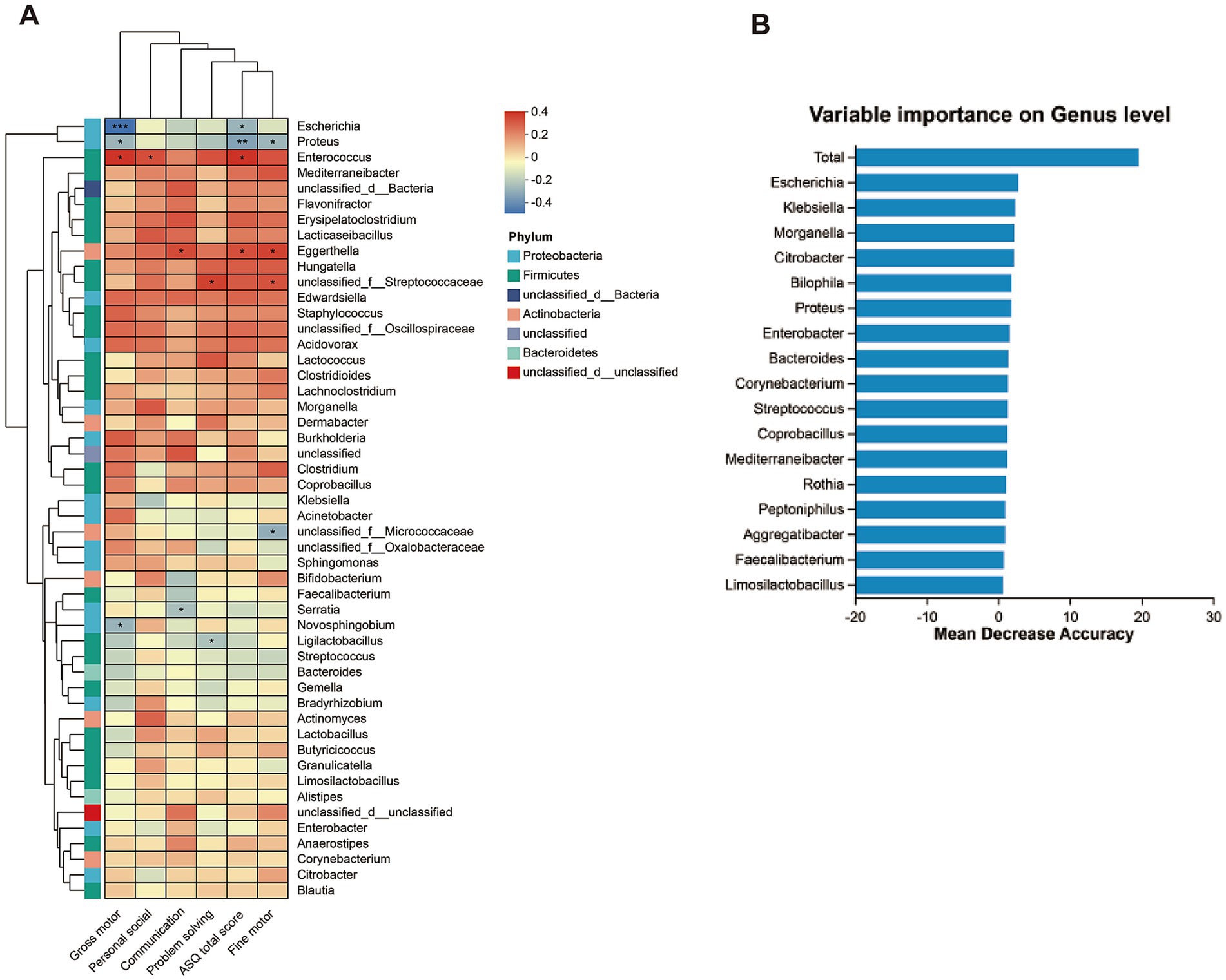 Panel A shows a heatmap depicting the abundance of various bacterial genera across different conditions, with a color scale indicating abundance levels. Panel B is a bar chart illustrating the variable importance of bacterial genera on a genus level, ranked by mean decrease accuracy.