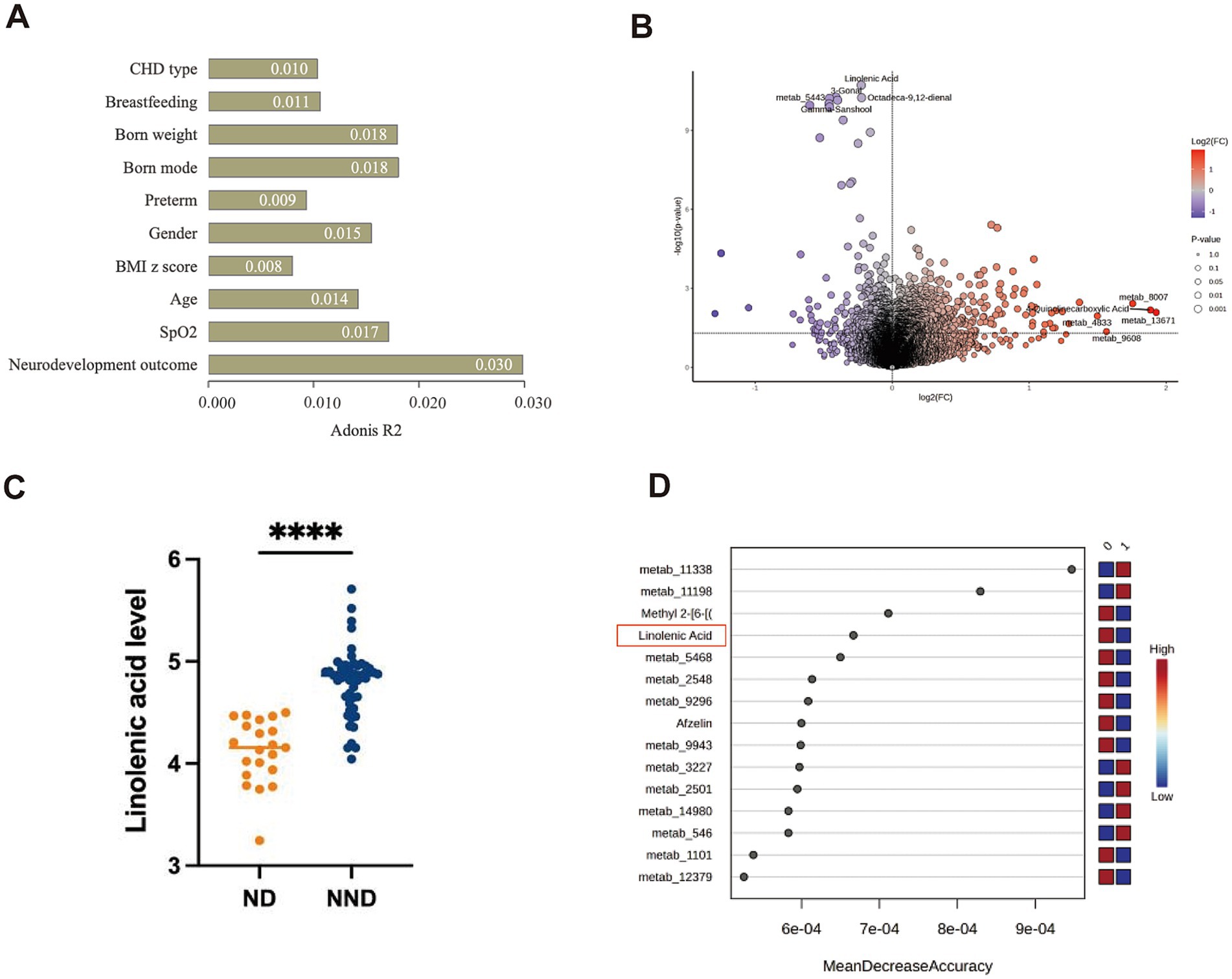 Panel A shows a bar chart ranking factors by Adonis R2 values, with neurodevelopment outcome highest at 0.030. Panel B is a scatter plot with points colored by log2(Fold Change) and p-values, highlighting substances like Linoleic Acid. Panel C depicts a dot plot comparing linolenic acid levels between ND and NND groups, with NND higher. Panel D displays a dot plot ranking metabolites by Mean Decrease Accuracy, with Linolenic Acid highlighted as significant.