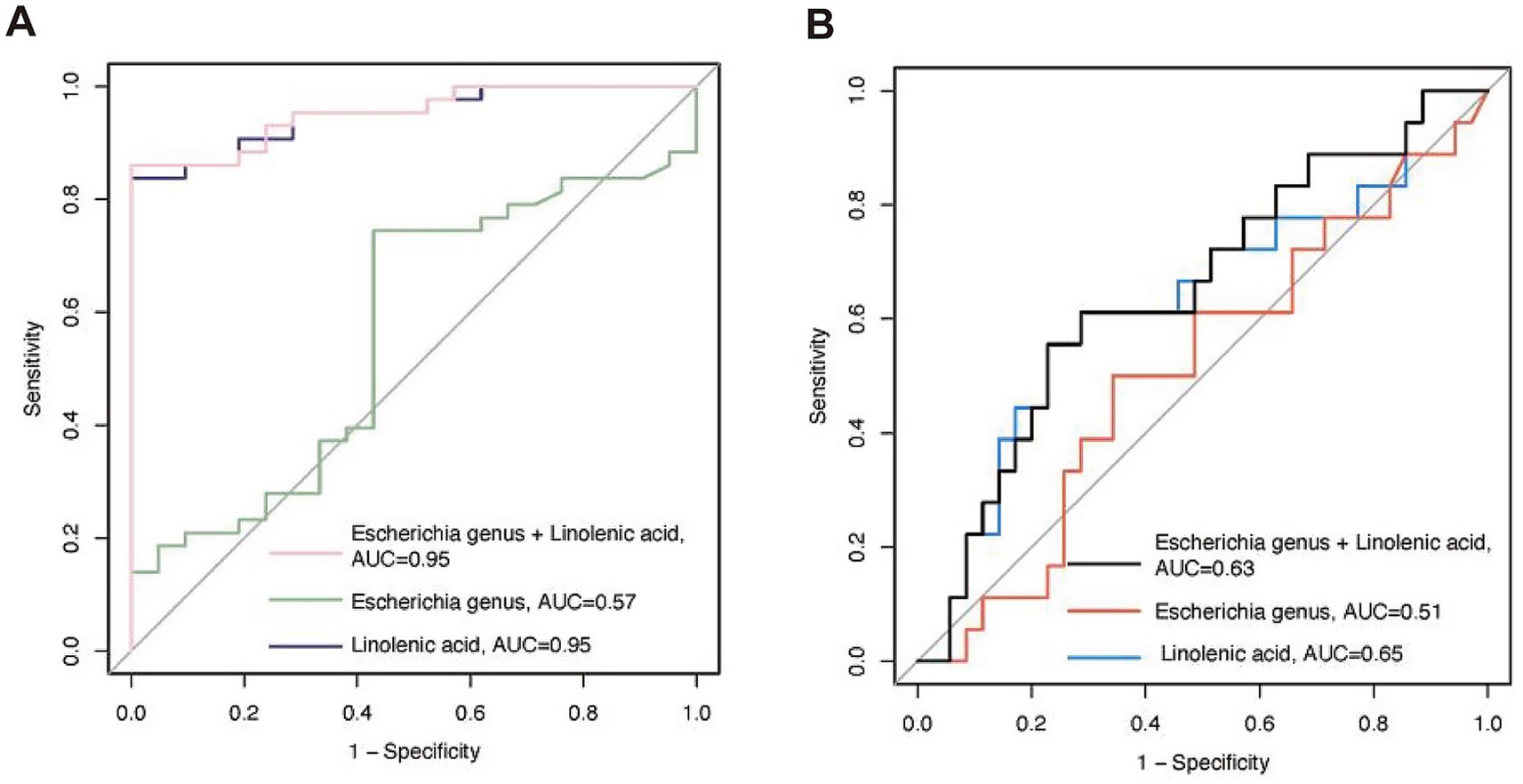Two ROC curve charts labeled A and B compare the performance of Escherichia genus and linolenic acid in different scenarios. Chart A shows three curves with AUC values: light pink for Escherichia genus + linolenic acid (AUC=0.95), green for Escherichia genus (AUC=0.57), and dark blue for linolenic acid (AUC=0.95). Chart B displays three curves with AUC values: black for Escherichia genus + linolenic acid (AUC=0.63), red for Escherichia genus (AUC=0.51), and blue for linolenic acid (AUC=0.65). Both charts plot sensitivity against 1-specificity.