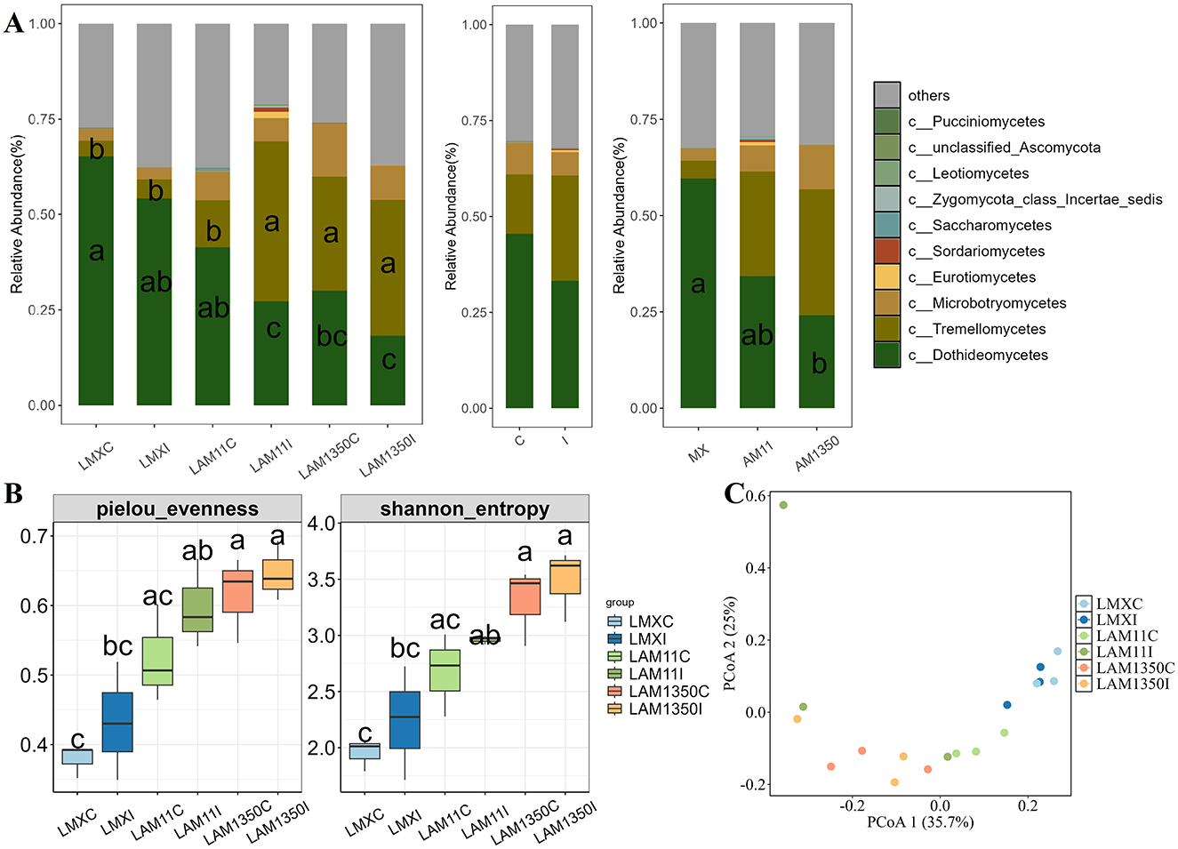 The image shows three panels related to fungal community analysis. Panel A presents stacked bar charts illustrating the relative abundance of different fungal classes across several groups, with a color-coded legend for classification. Panel B includes box plots showing Pielou's evenness and Shannon entropy, indicating diversity among the same groups. Panel C displays a scatter plot for principal coordinate analysis (PCoA), highlighting the distribution of samples based on PCoA 1 and PCoA 2 axes. Each group is represented by a distinct color and label.