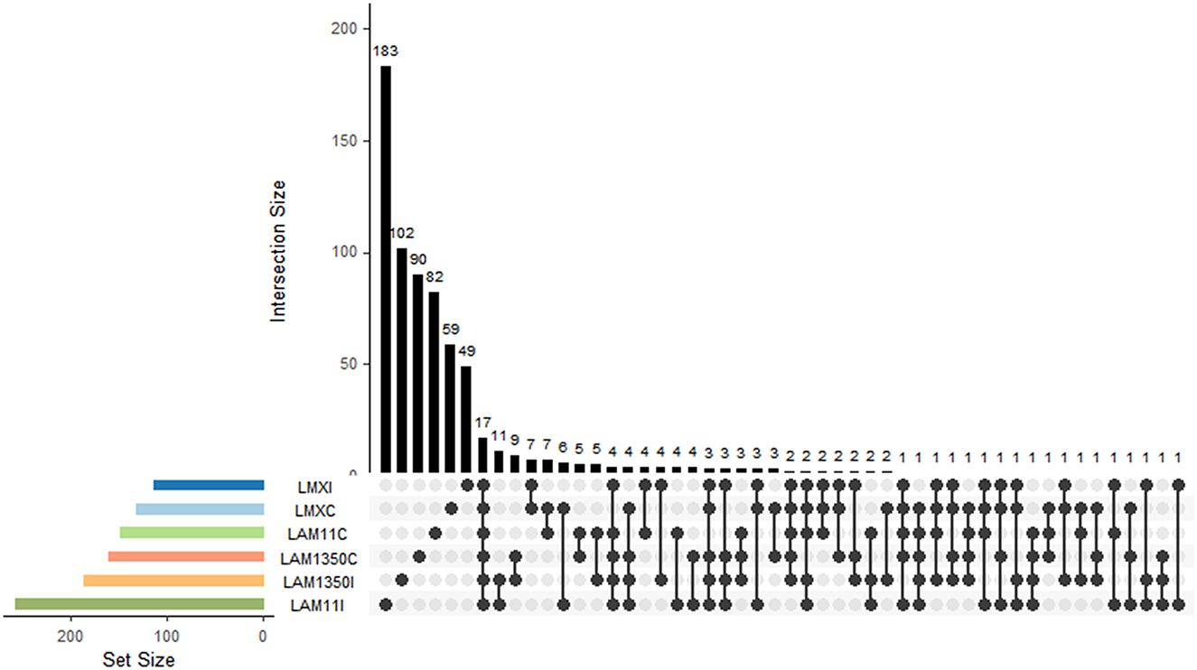 A bar chart represents intersection sizes of data sets, with the largest intersection size being 183. Horizontal bars on the left display set sizes for six labeled categories, ranging from about 50 to over 150. Black dots and connecting lines indicate intersections among the sets.
