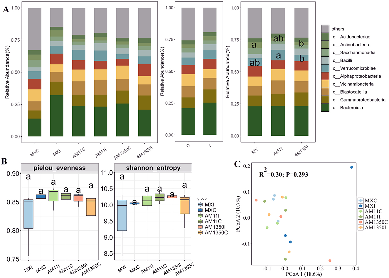 Panel A shows stacked bar charts representing the relative abundance of various bacterial classes in different groups. Panel B displays box plots comparing Pielou's evenness and Shannon entropy among these groups. Panel C features a PCoA plot illustrating the clustering of samples based on their bacterial composition, with explained variance percentages and a noted R-squared value.