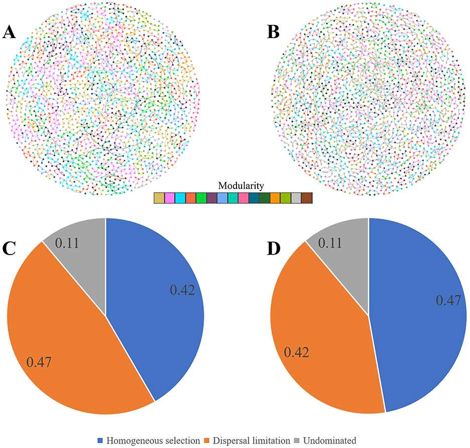 Network diagrams labeled A and B show various nodes connected by lines, colored according to a modularity spectrum. Below, pie charts C and D detail percentages with blue, orange, and gray sections representing homogeneous selection, dispersal limitation, and undominated categories, respectively. Chart C shows values 0.42, 0.47, and 0.11, while chart D shows 0.47, 0.42, and 0.11.