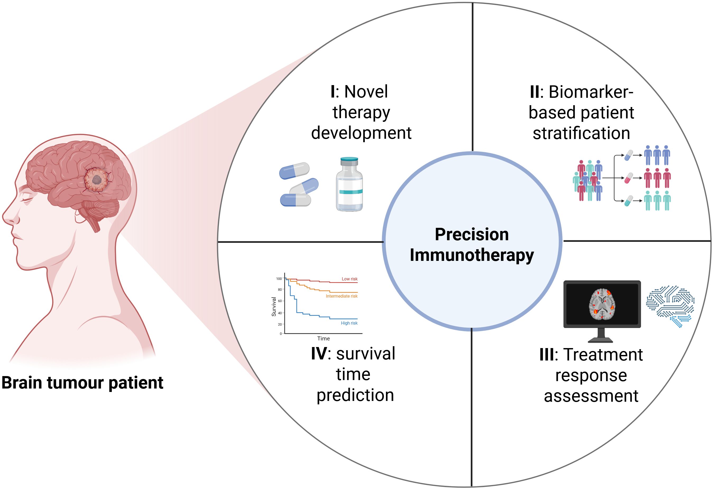 Diagram illustrating precision immunotherapy for brain tumor patients. It includes four sections: I. Novel therapy development with pills and vials. II. Biomarker-based patient stratification depicted with people icons. III. Treatment response assessment with a brain scan on a monitor. IV. Survival time prediction shown with a survival chart.
