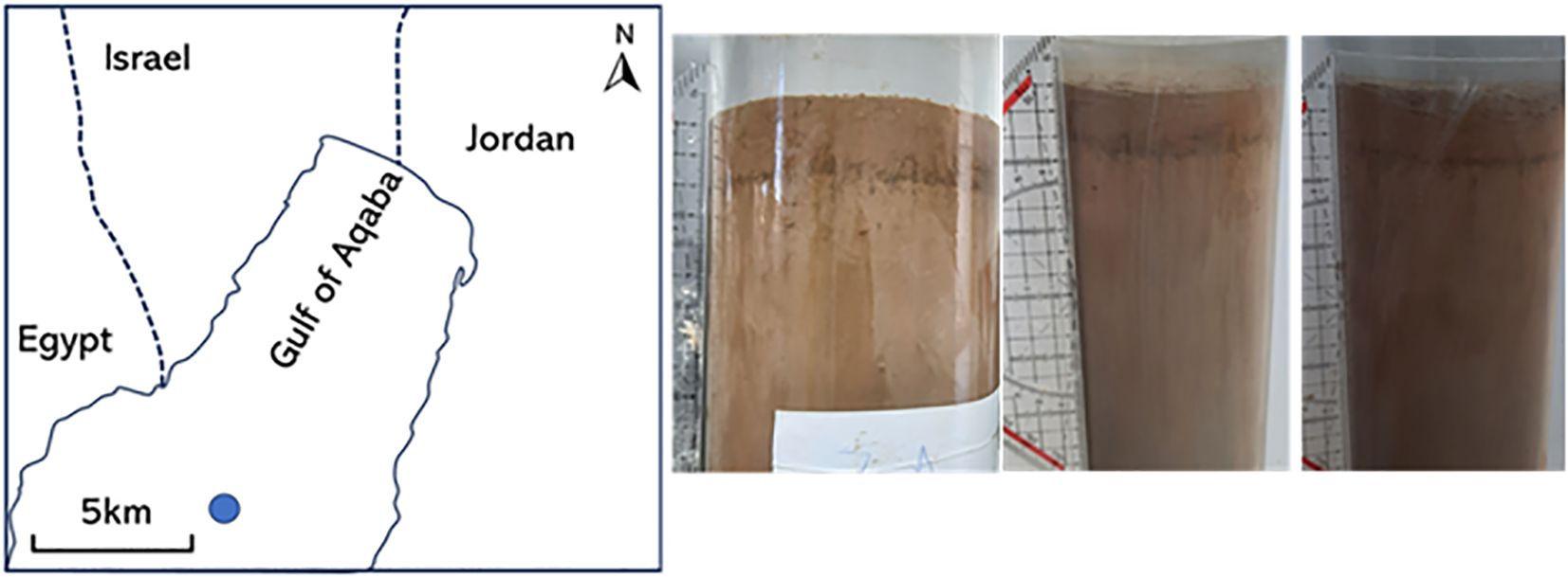 Map of the Gulf of Aqaba region, bordered by Egypt, Israel, and Jordan, accompanies three images of sediment cores showing layered brown sediment. A scale bar and compass are included.