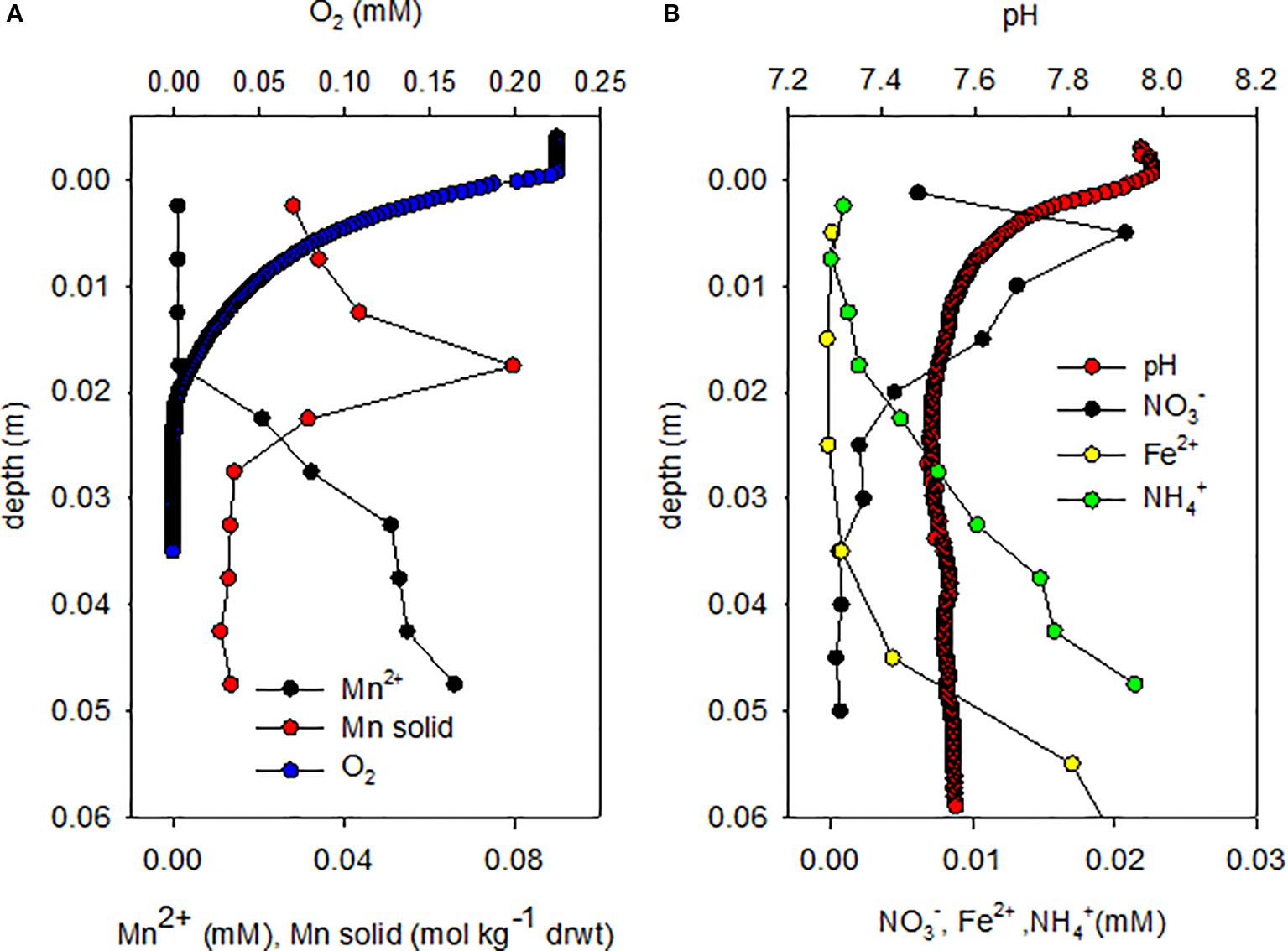 Graph A shows the concentration of manganese ions (Mn²⁺), manganese solids, and oxygen (O₂) at varying depths in meters. Graph B illustrates the pH, nitrate (NO₃⁻), iron (Fe²⁺), and ammonium (NH₄⁺) concentrations at different depths. Both graphs indicate how these variables change with depth, marked by distinct colored lines and symbols for each parameter.