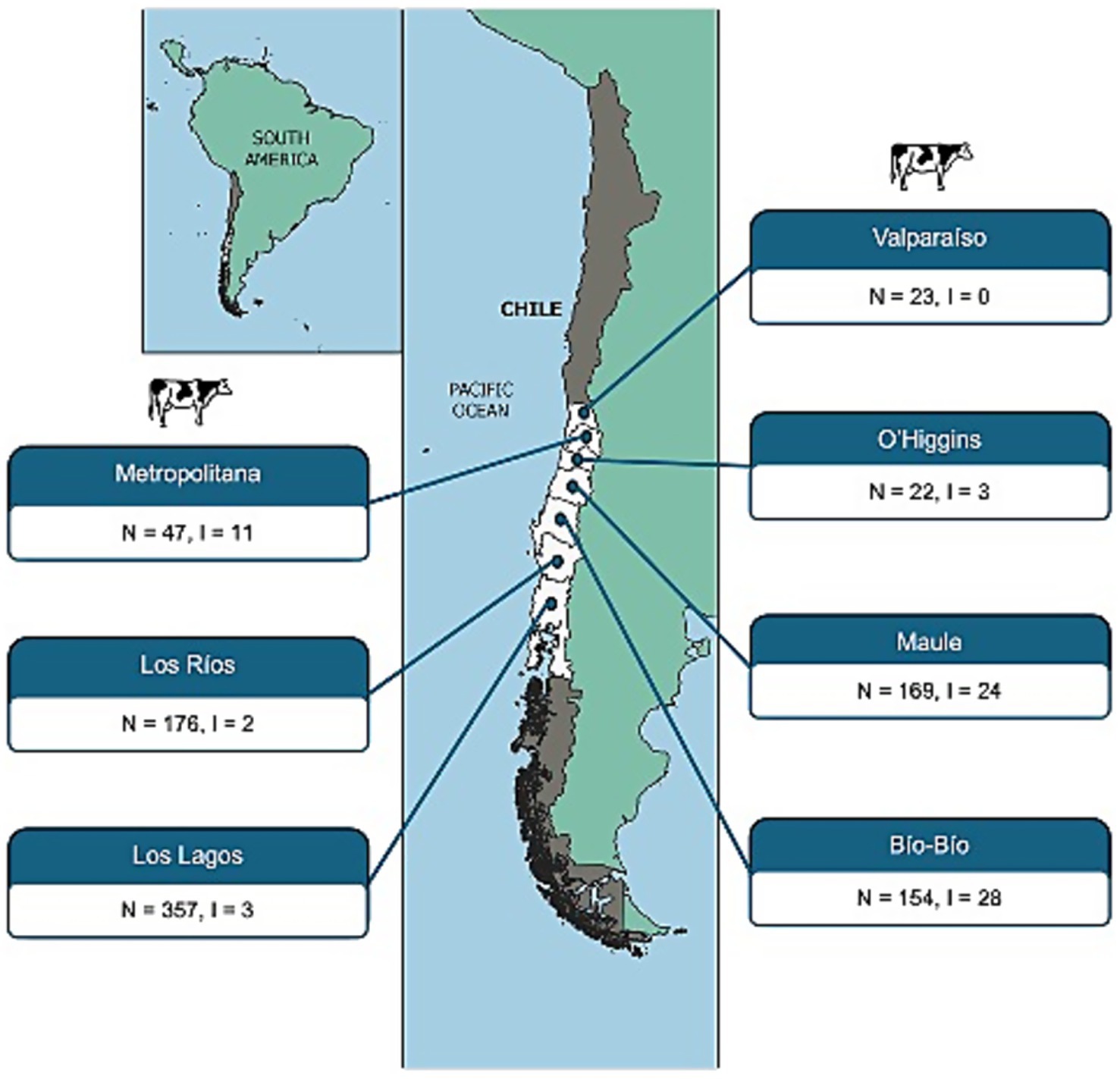 Map of Chile showing cattle population data for various regions. Inset displays South America's location. Regions listed are: Valparaíso (N=23, I=0), O'Higgins (N=22, I=3), Maule (N=169, I=24), Bío-Bío (N=154, I=28), Metropolitana (N=47, I=11), Los Ríos (N=176, I=2), Los Lagos (N=357, I=3). Cow icons are present beside the region data.